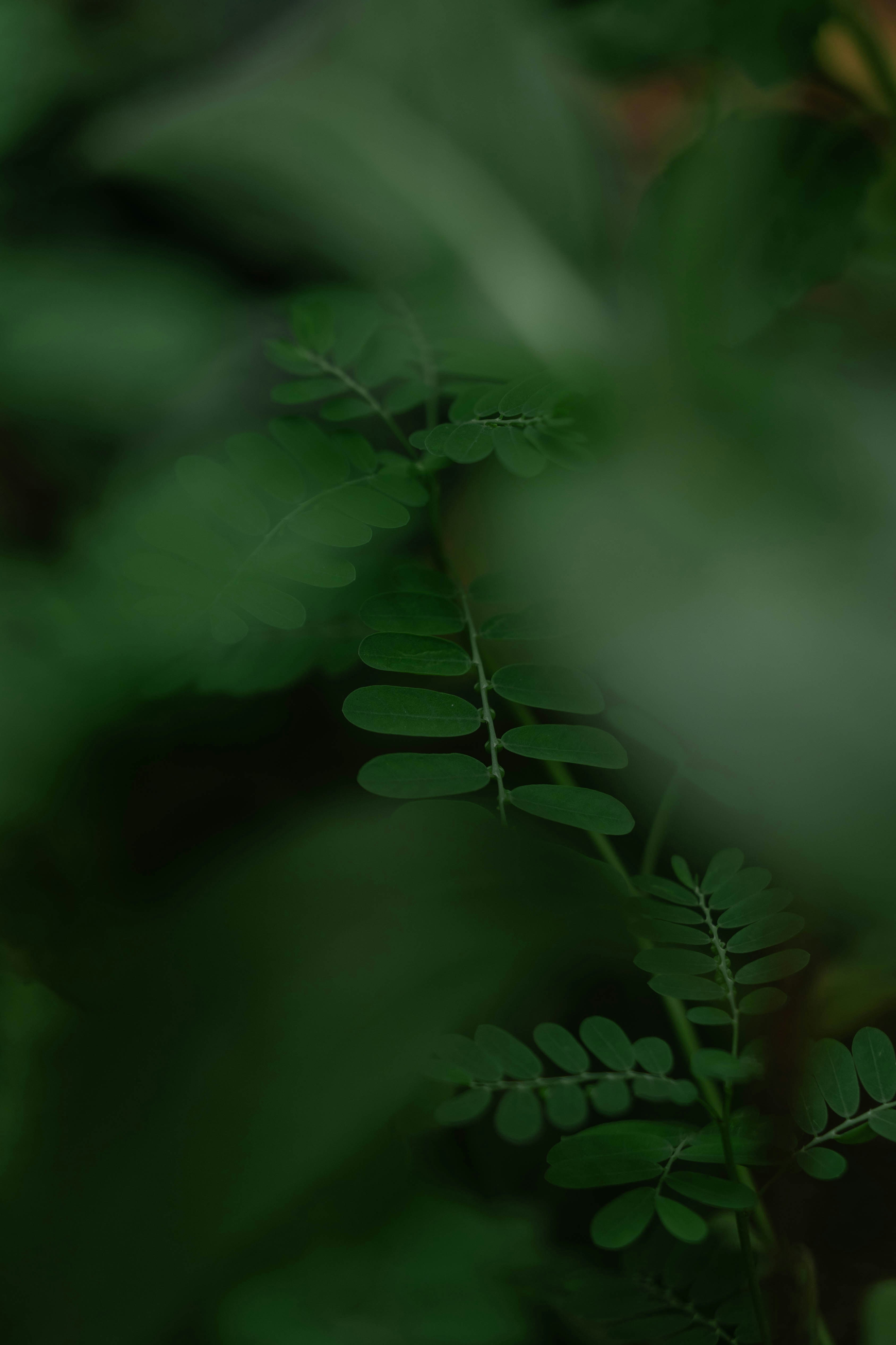 Photo by godwin_leones