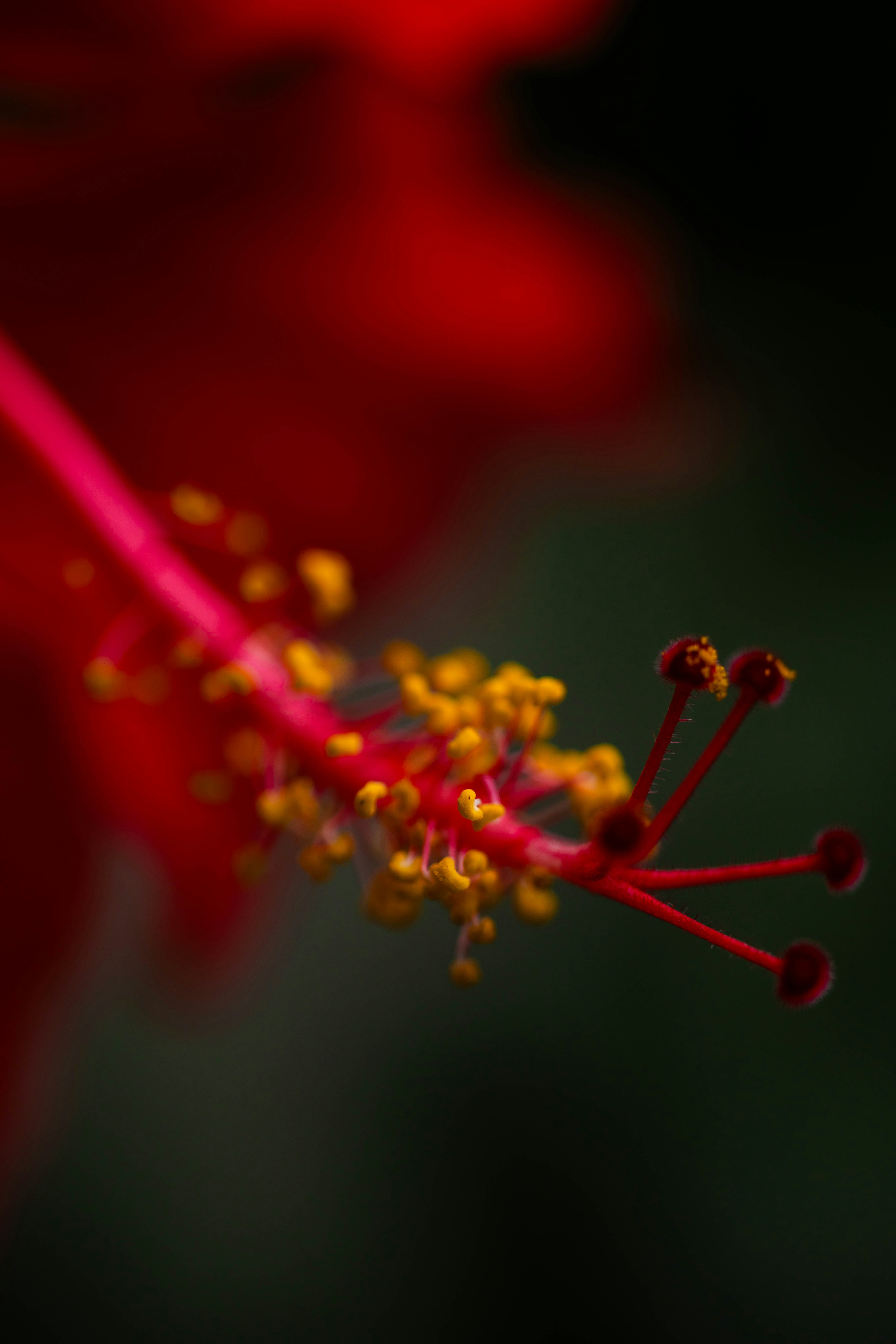 Photo by godwin_leones