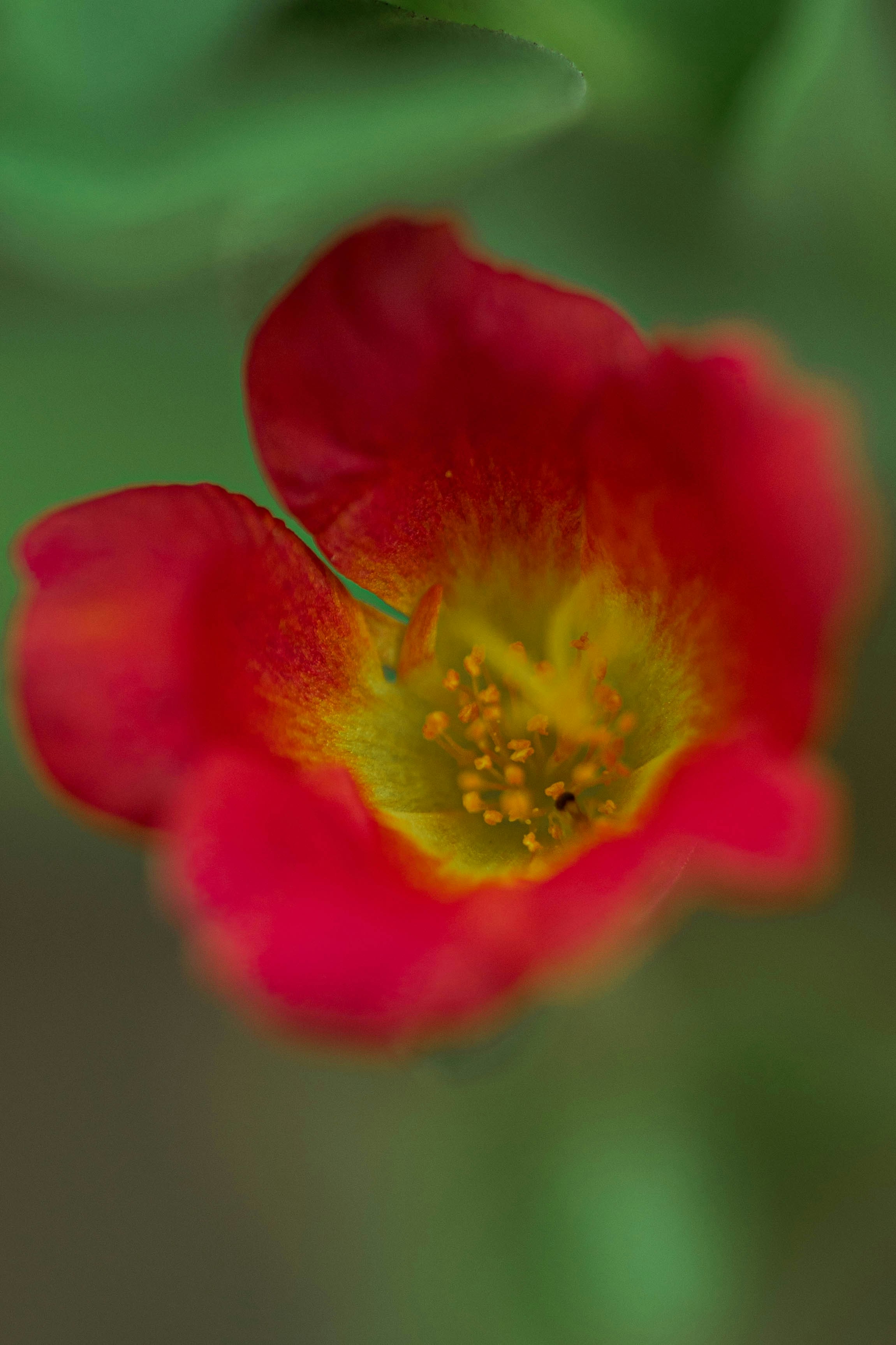 Photo by godwin_leones