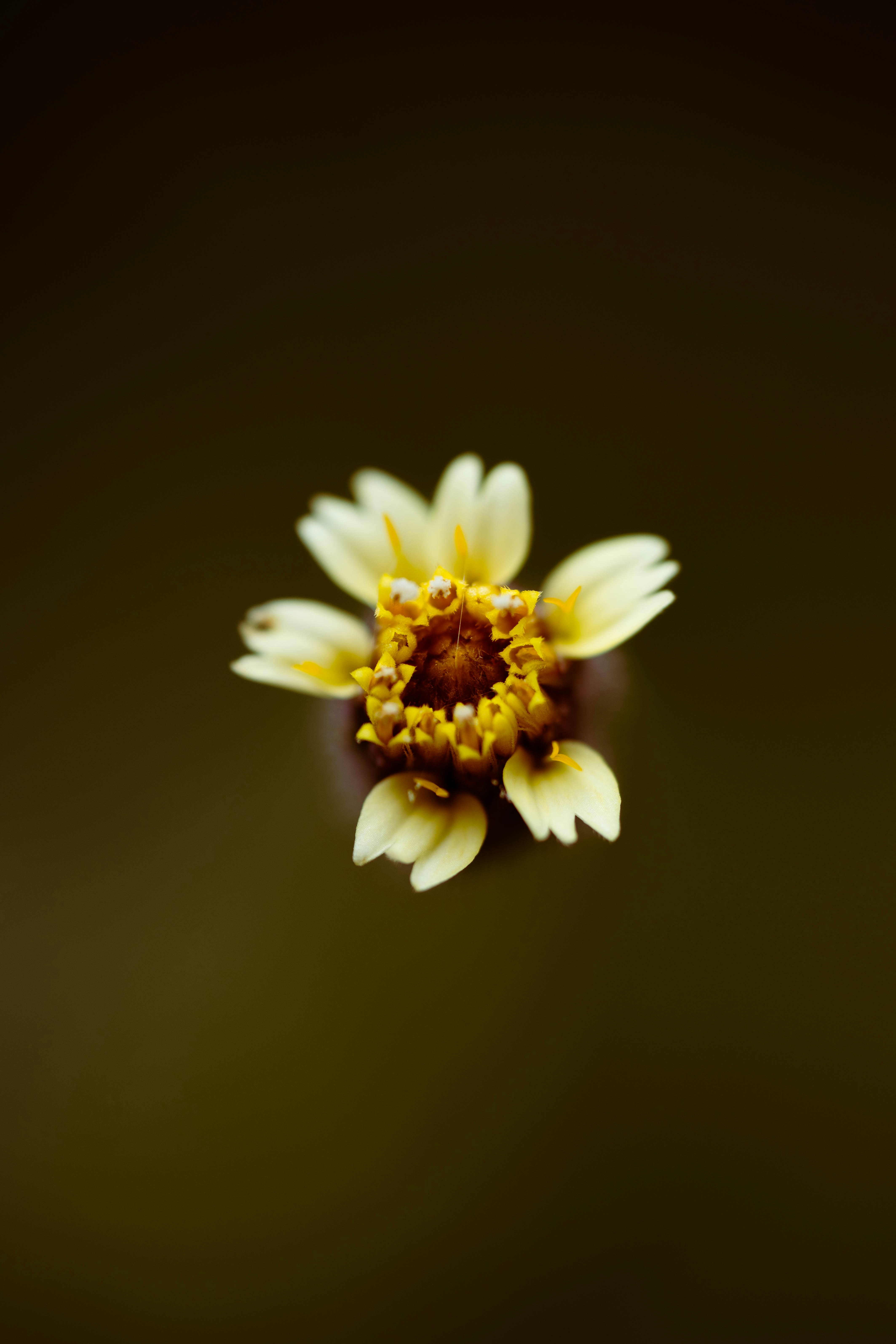 Photo by godwin_leones