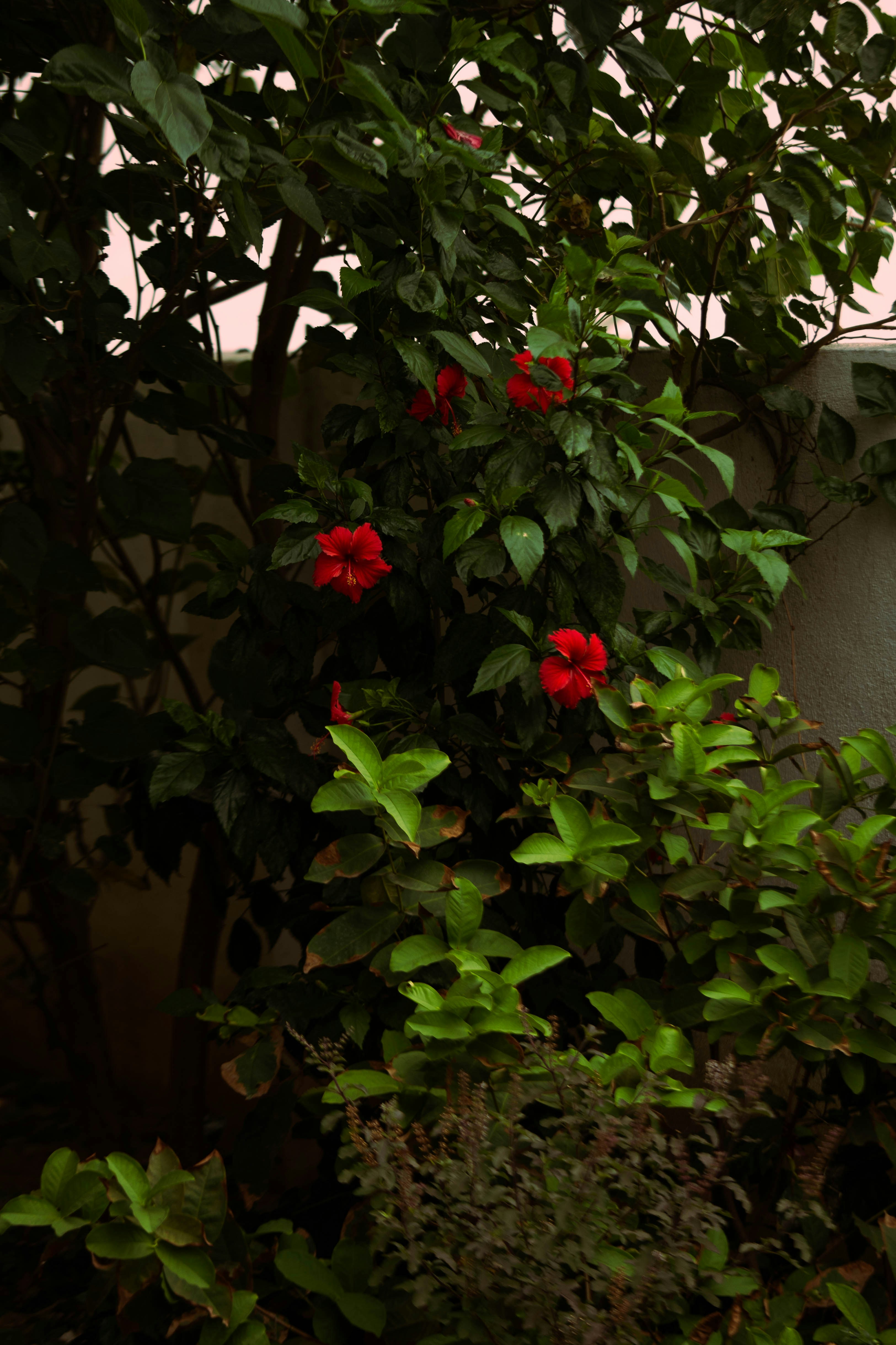 Photo by godwin_leones