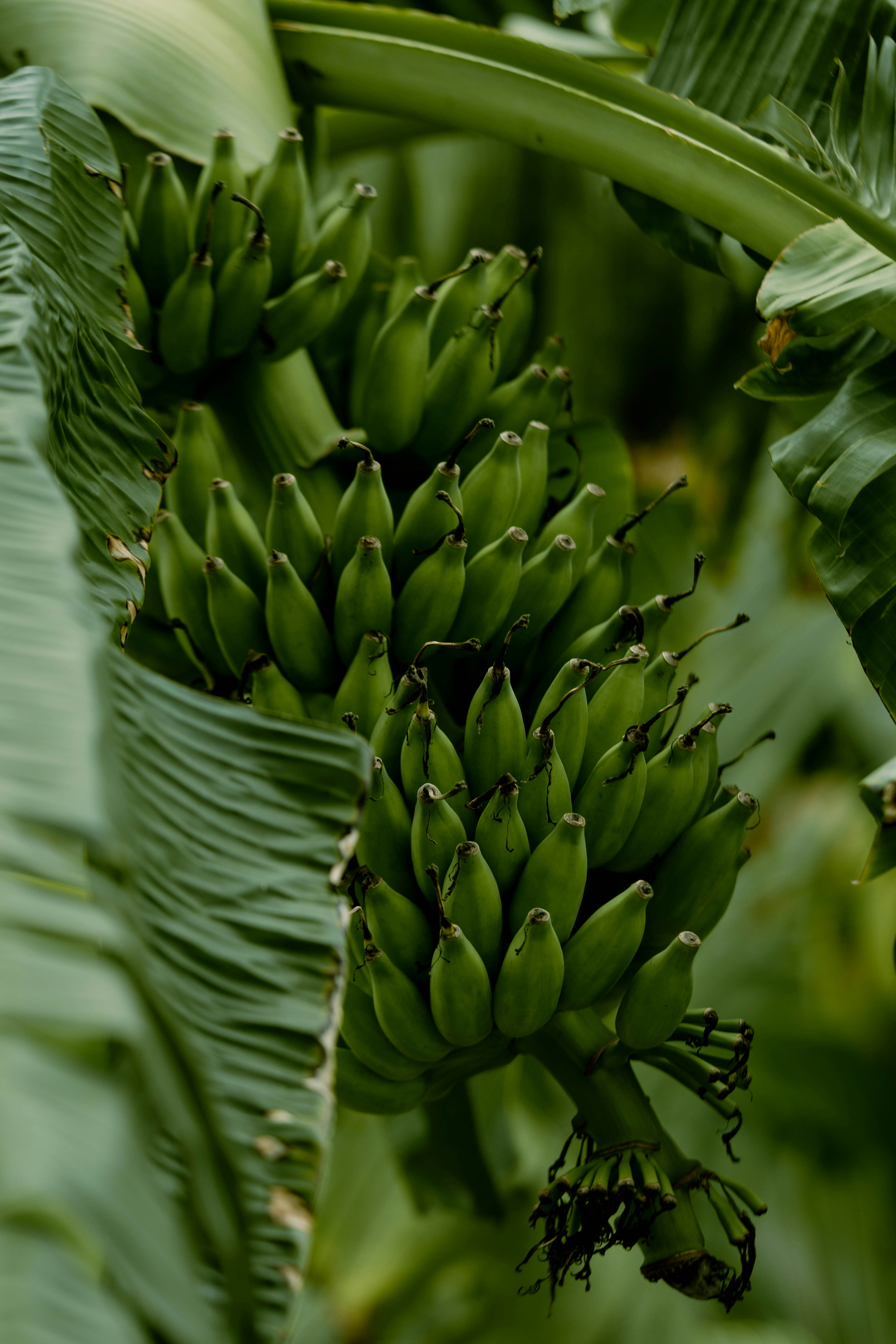 Photo by godwin_leones