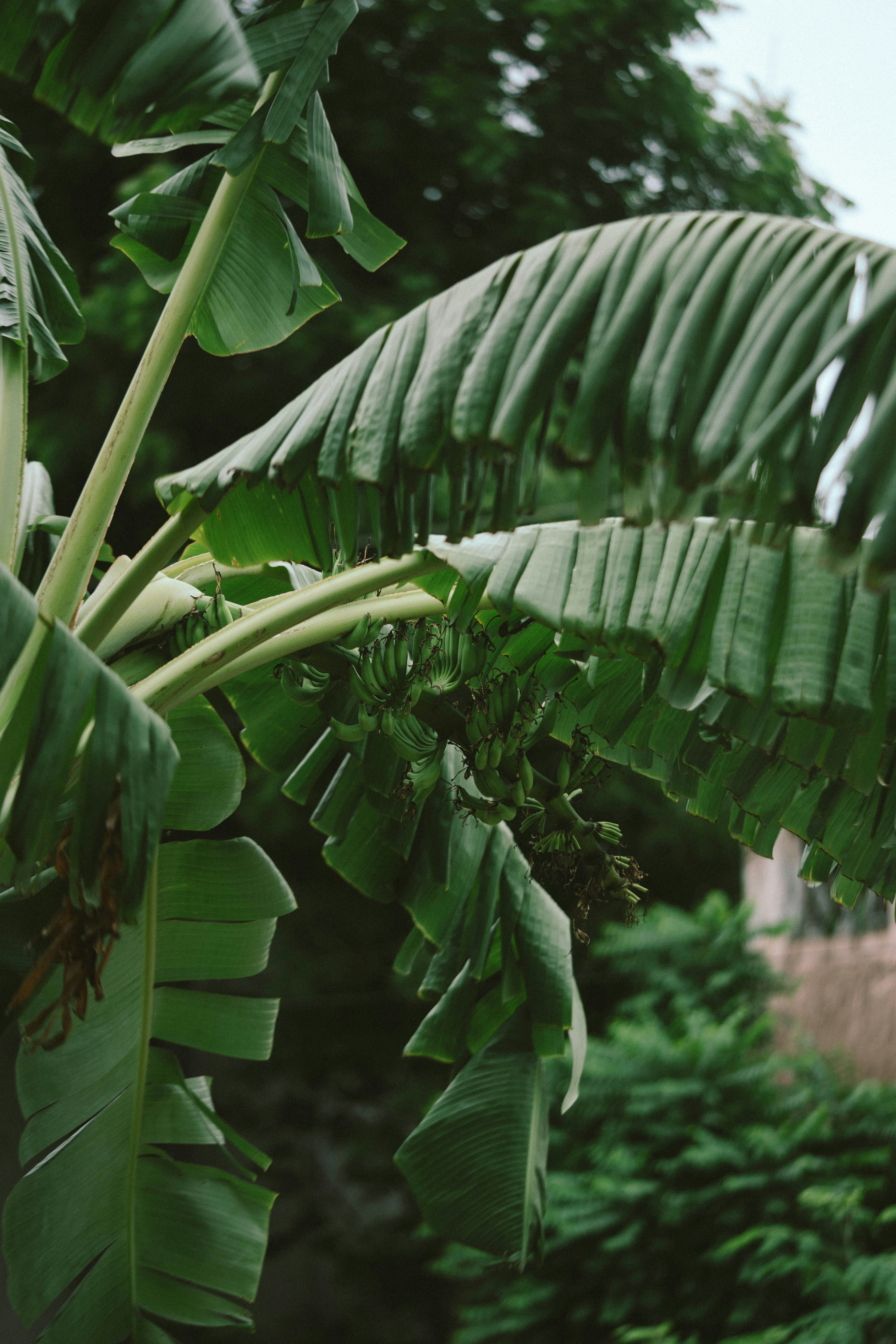 Photo by godwin_leones