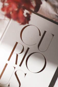 Close-up of the word "curious" on a book cover