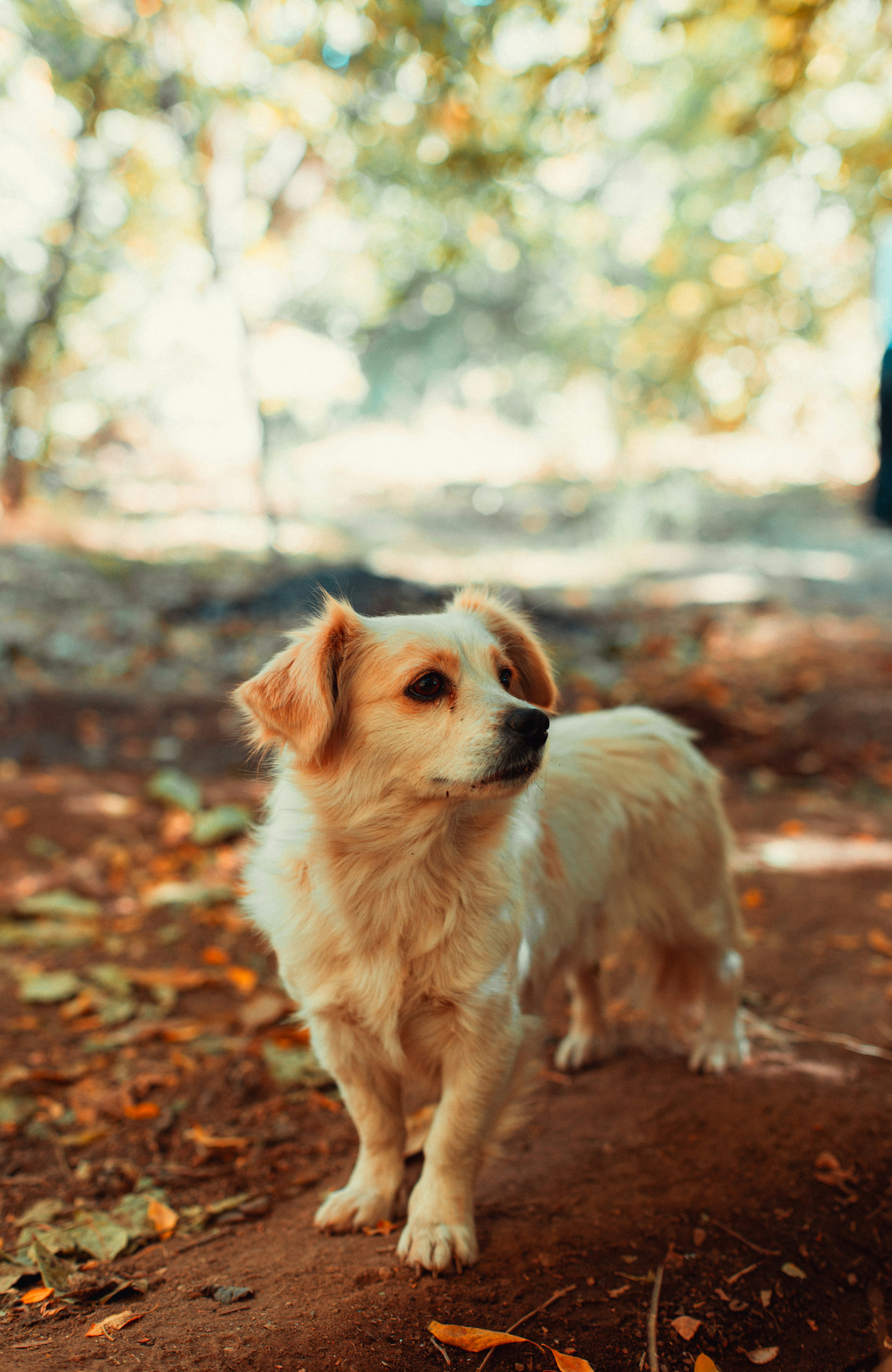 Photo by hossein_hosseini