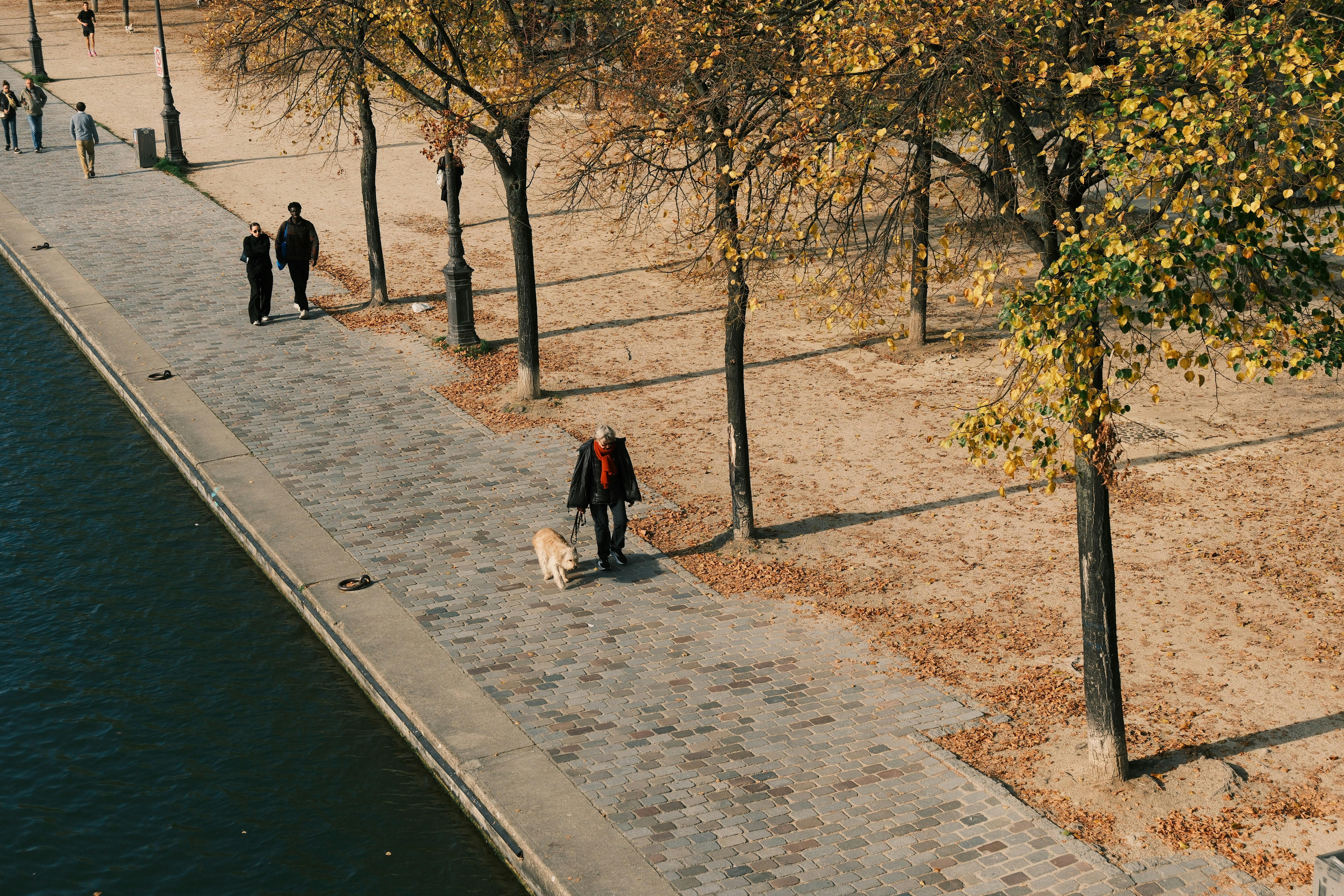 Elderly woman with dog