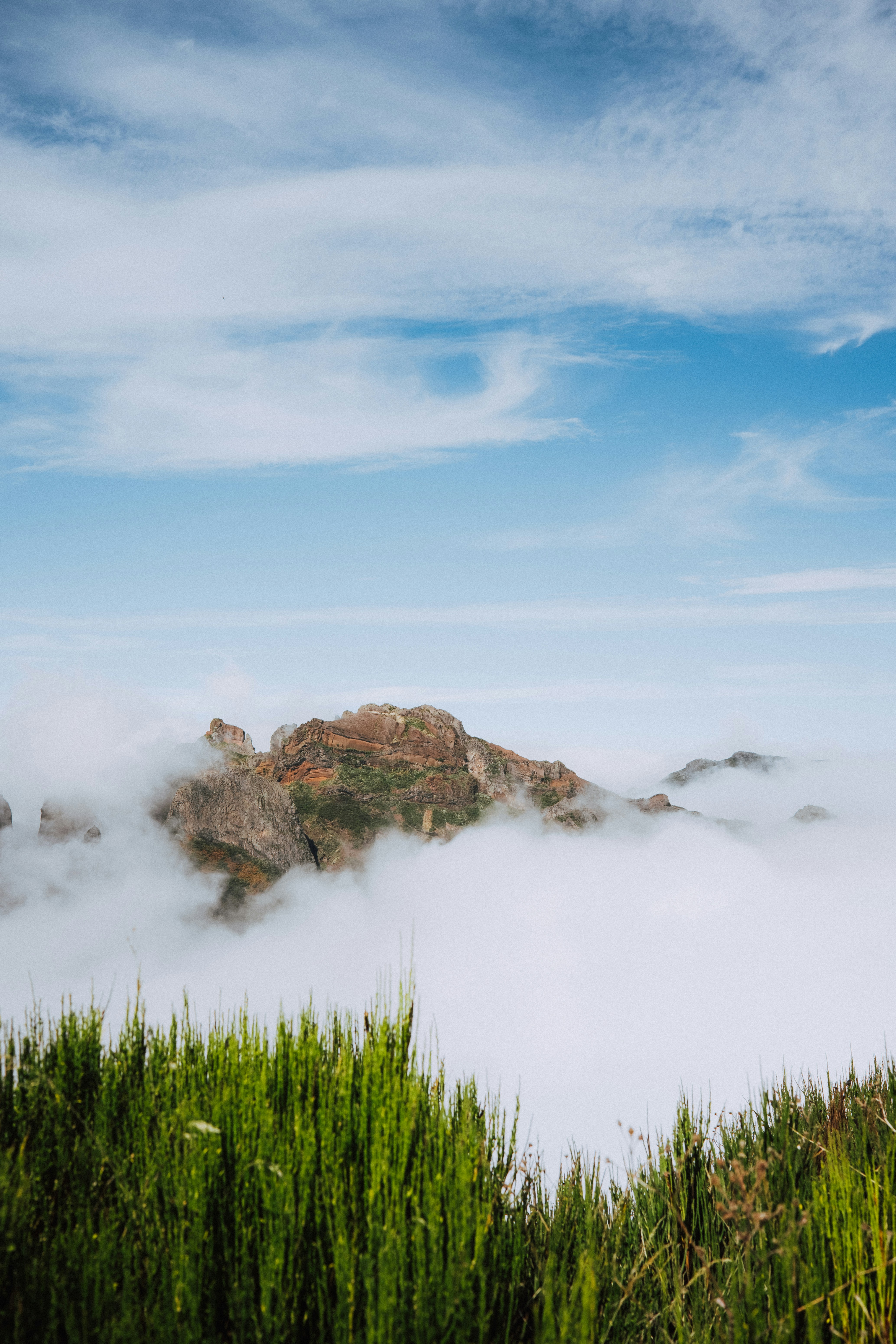 Photo by martinkatler