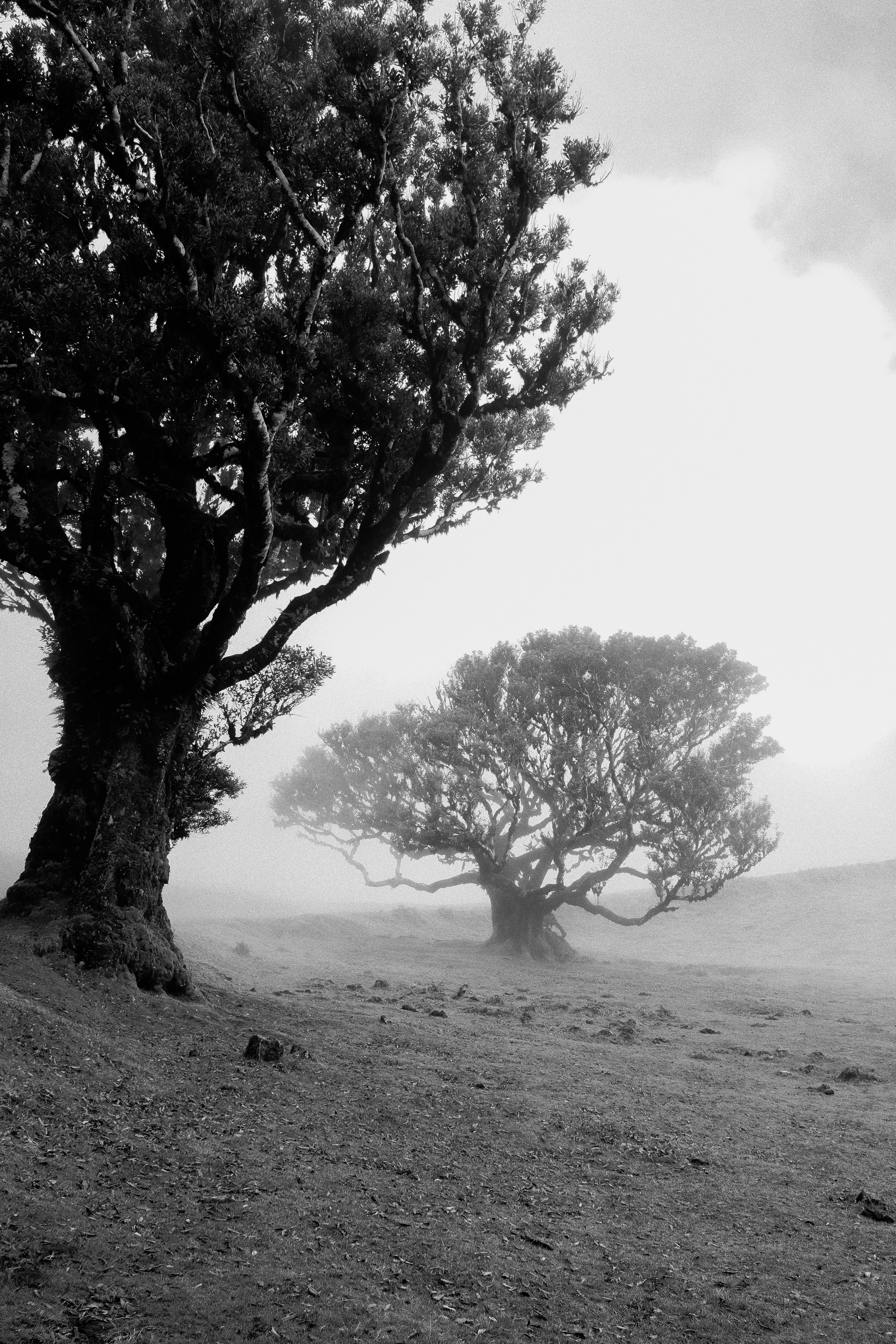 Photo by martinkatler