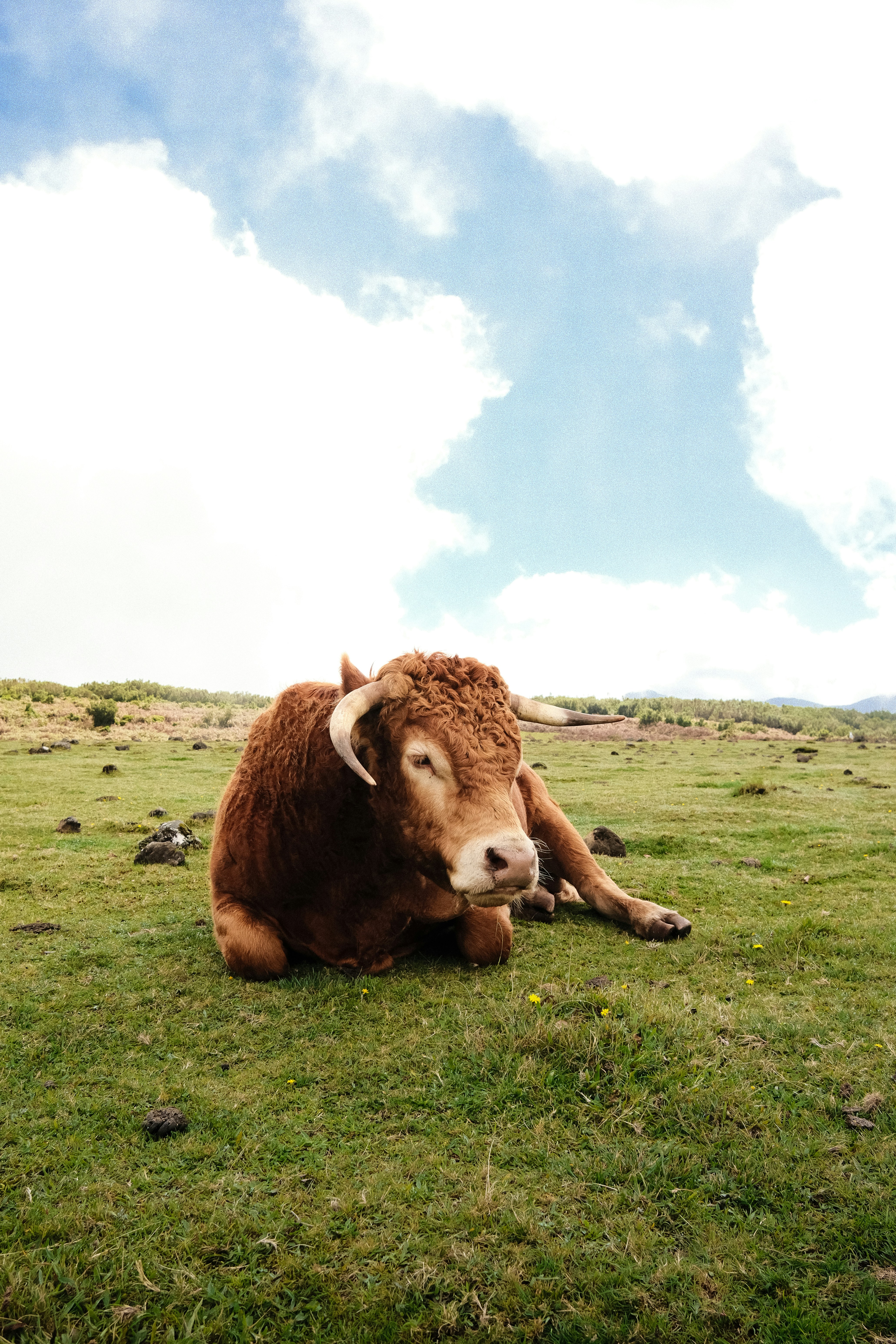 Photo by martinkatler