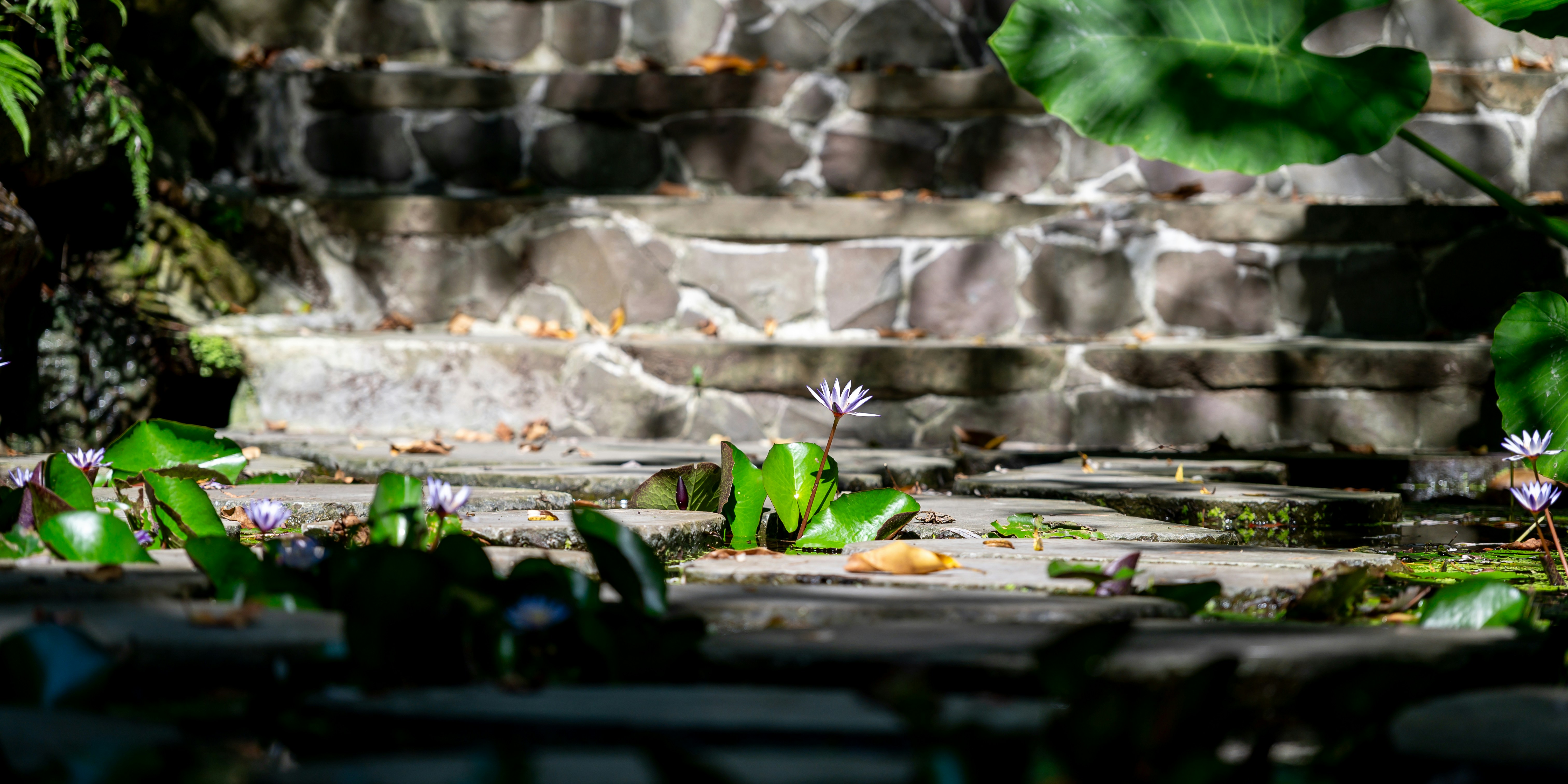 Photo by turquocabbit