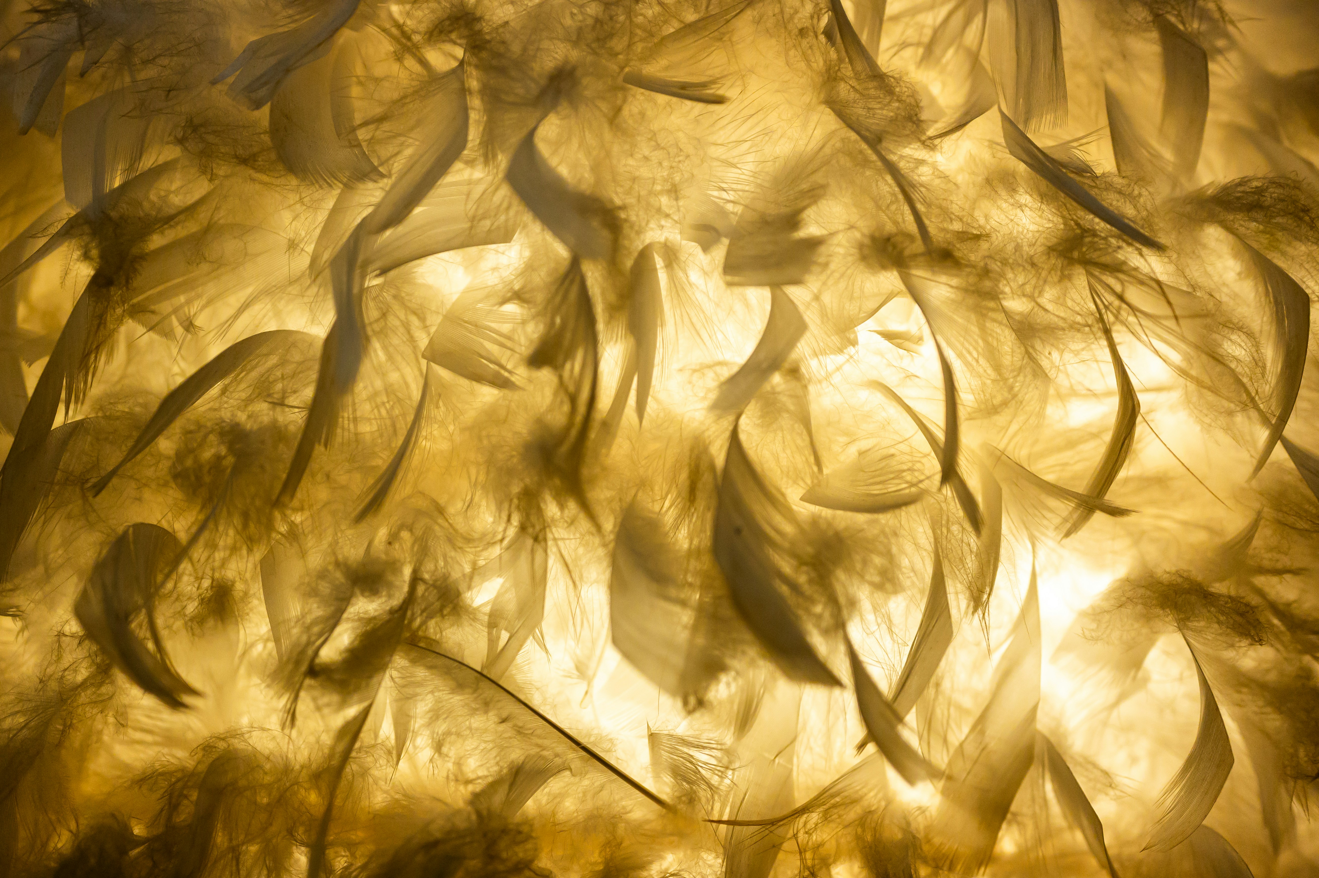 Photo by turquocabbit