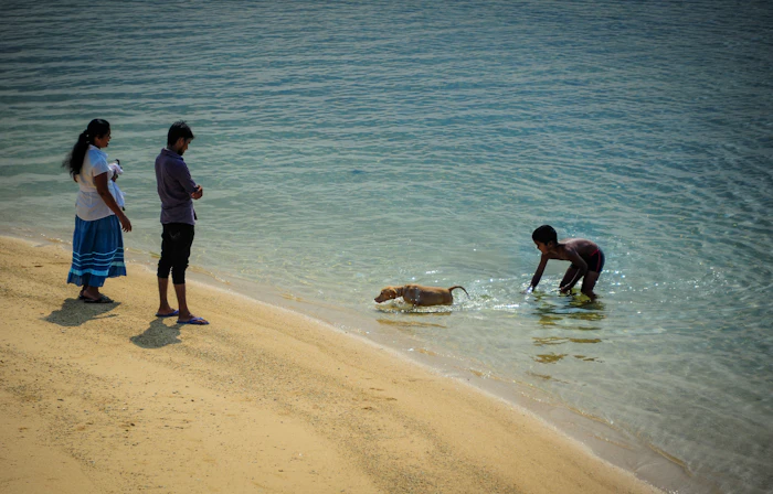 Beaches For Kids