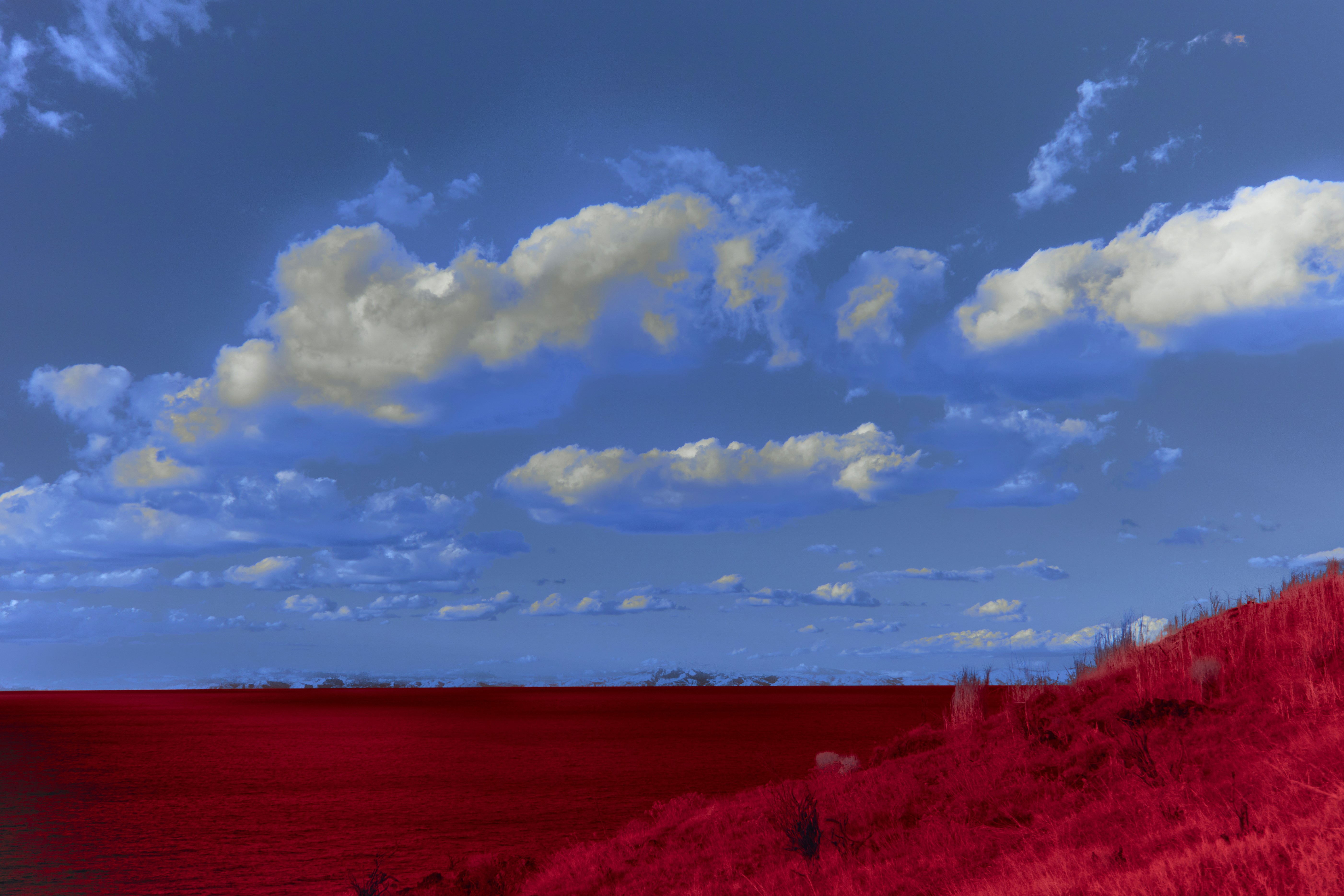 Photo by wolfgang_hasselmann