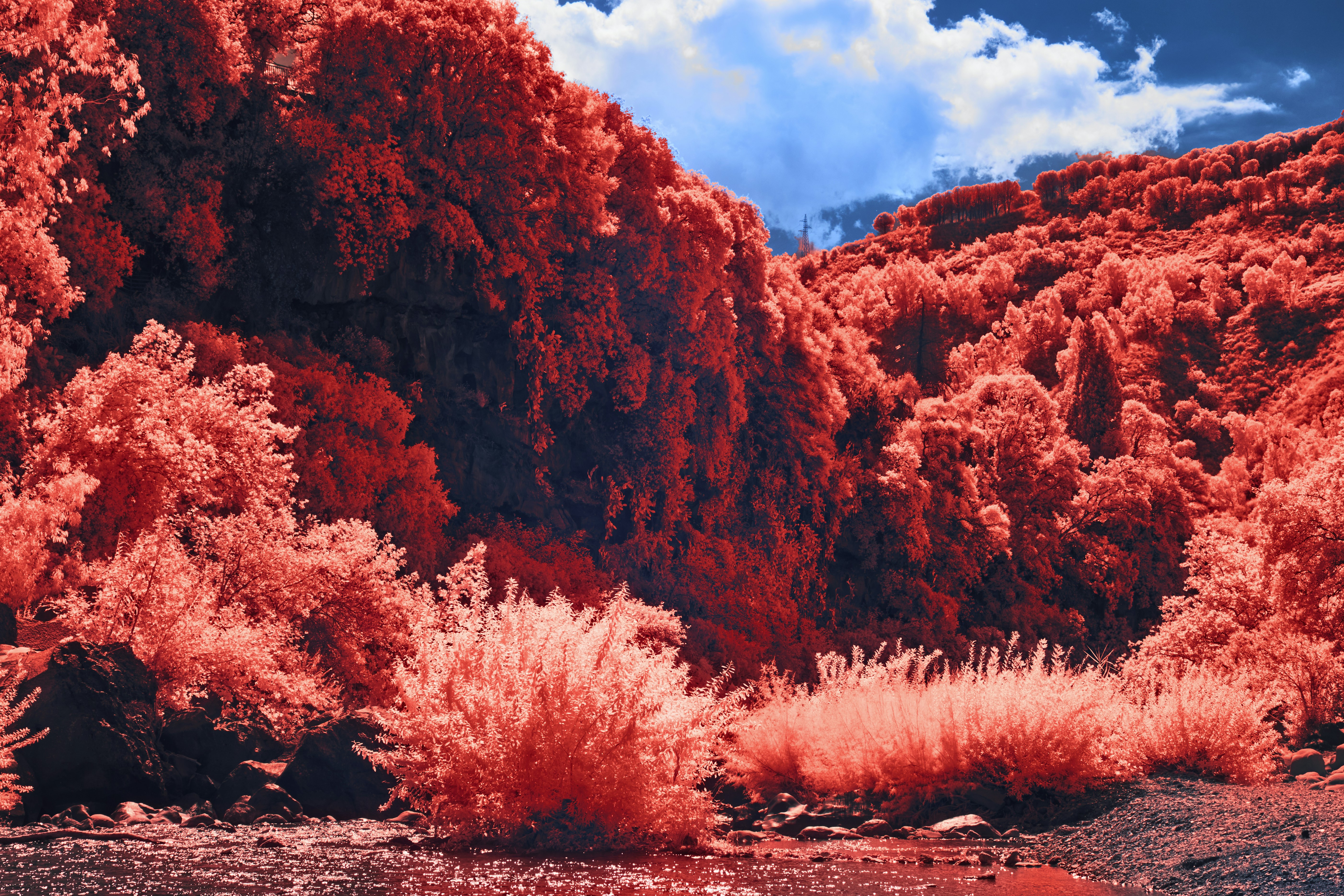 Photo by wolfgang_hasselmann