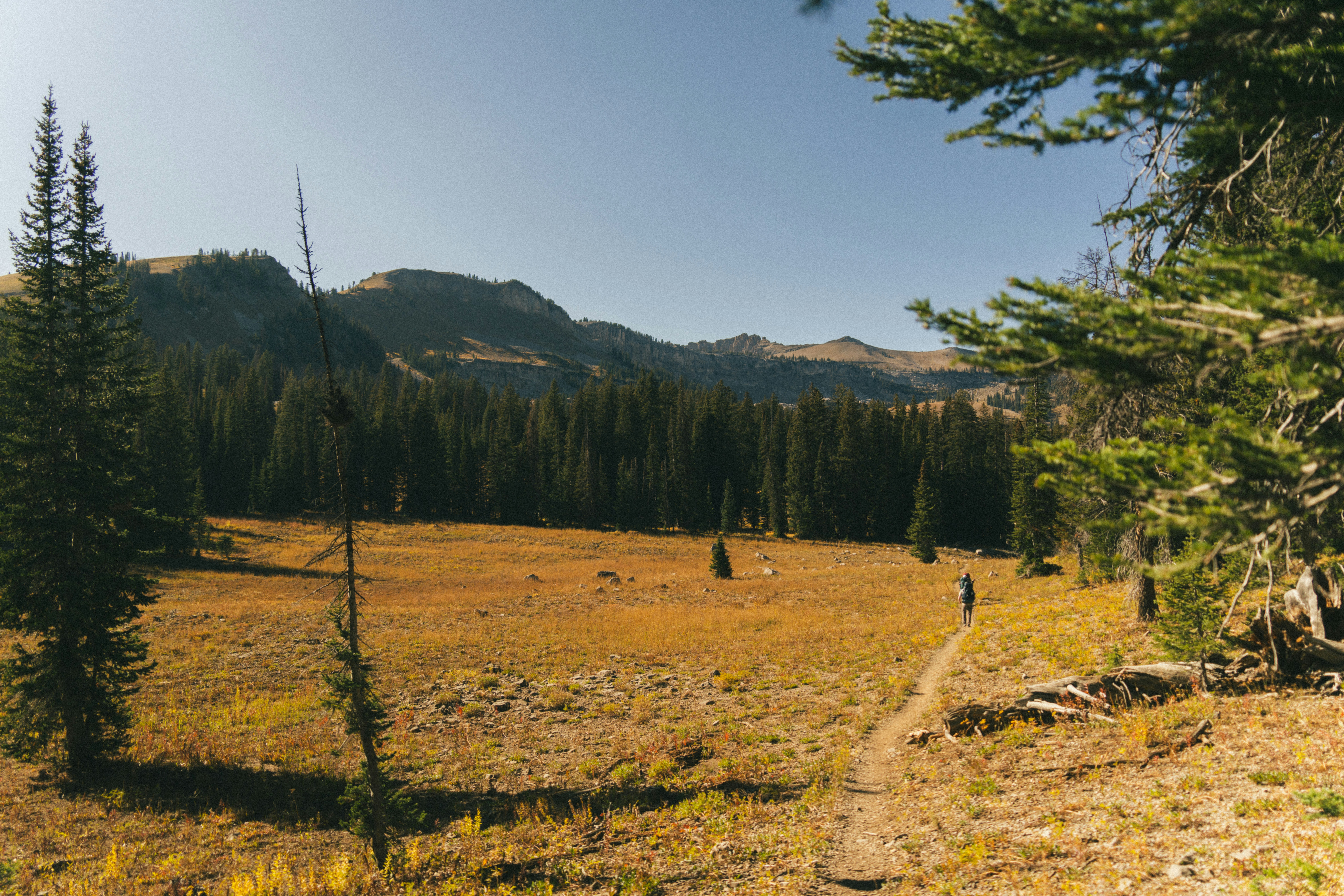 Photo by alexmoliski