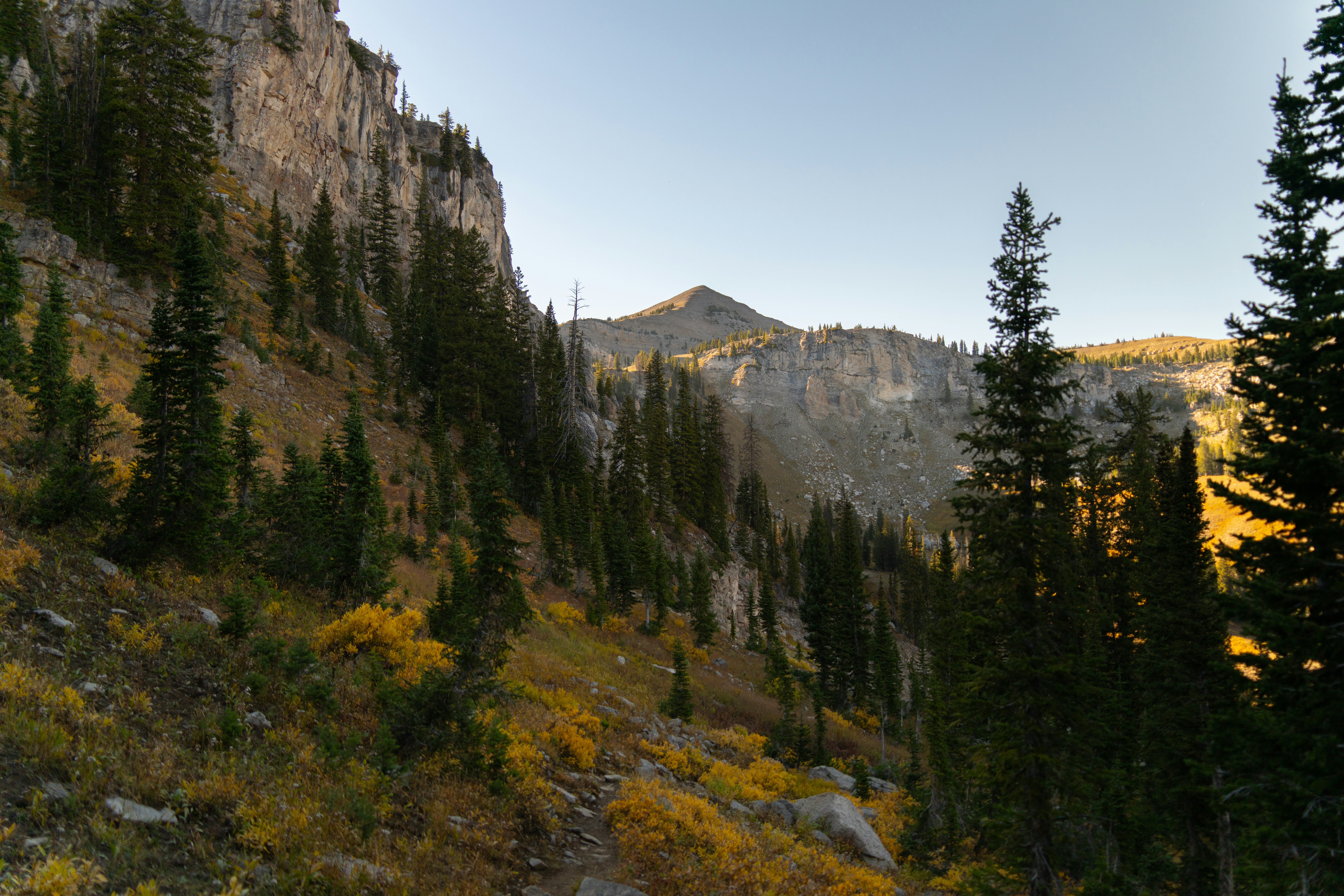 Photo by alexmoliski