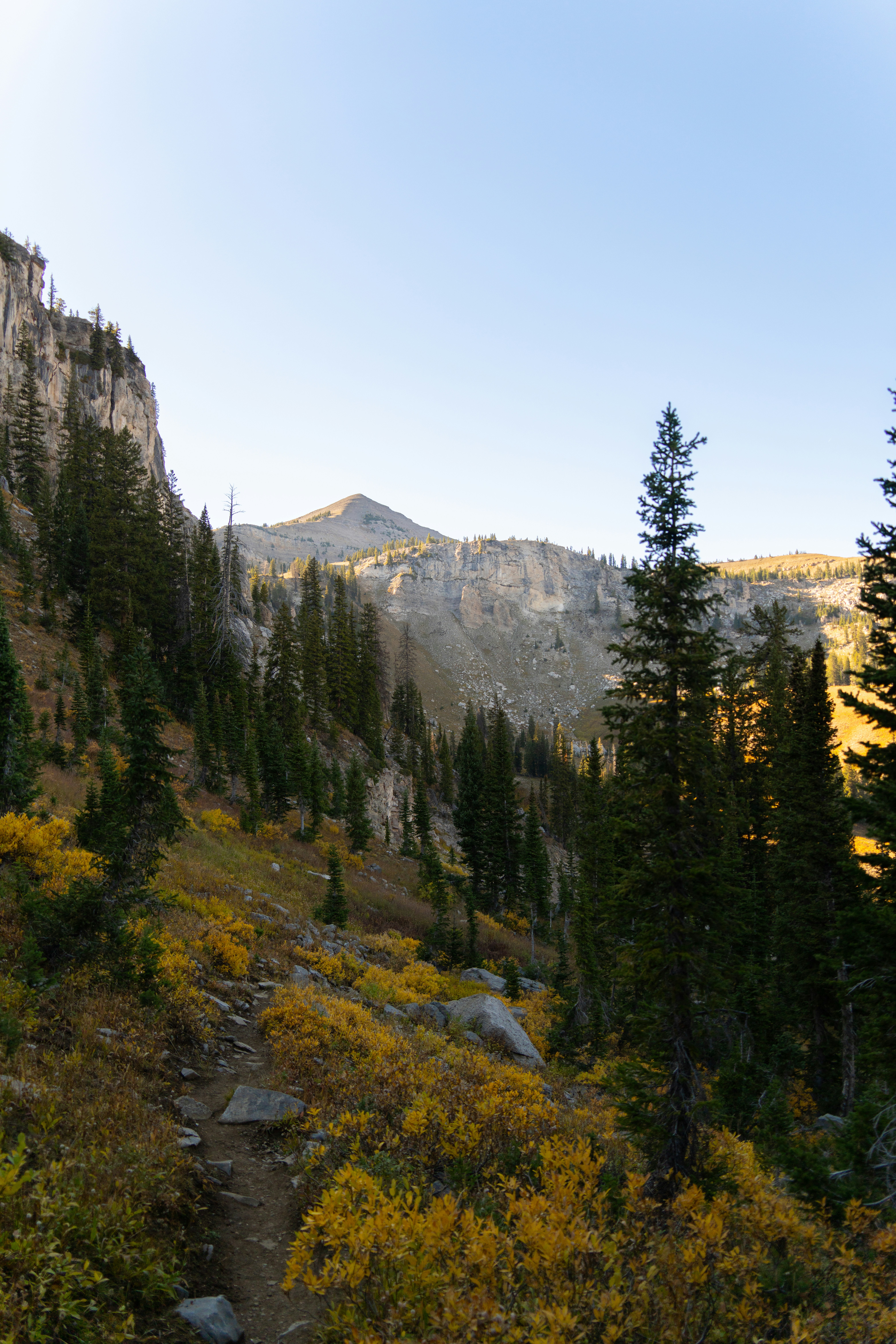 Photo by alexmoliski