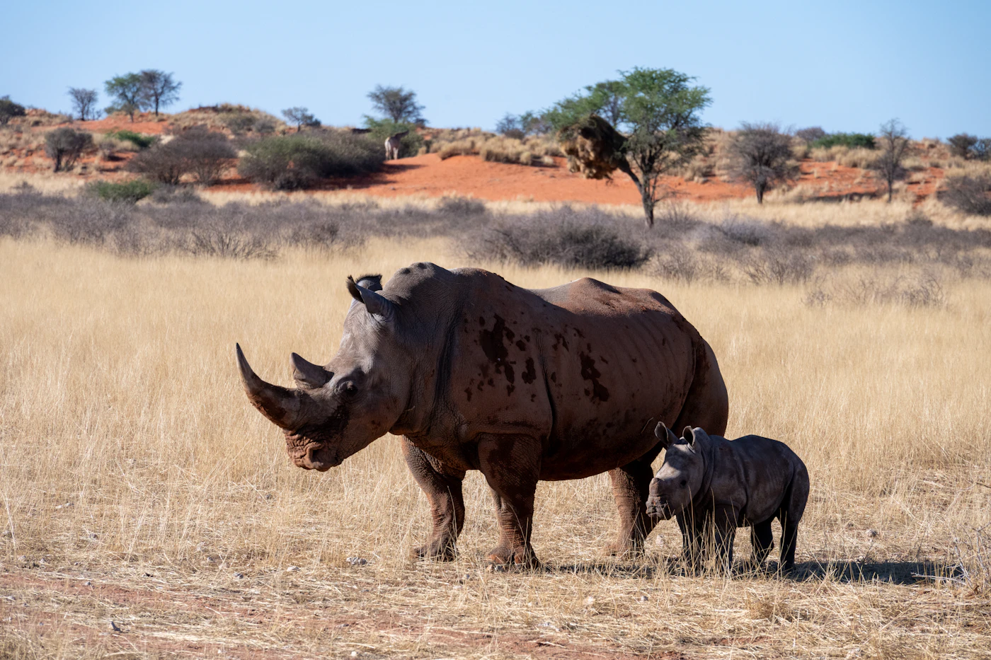 What Conservation Fees Actually Fund