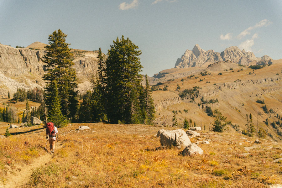 Hiker with backpack on a mountain trail