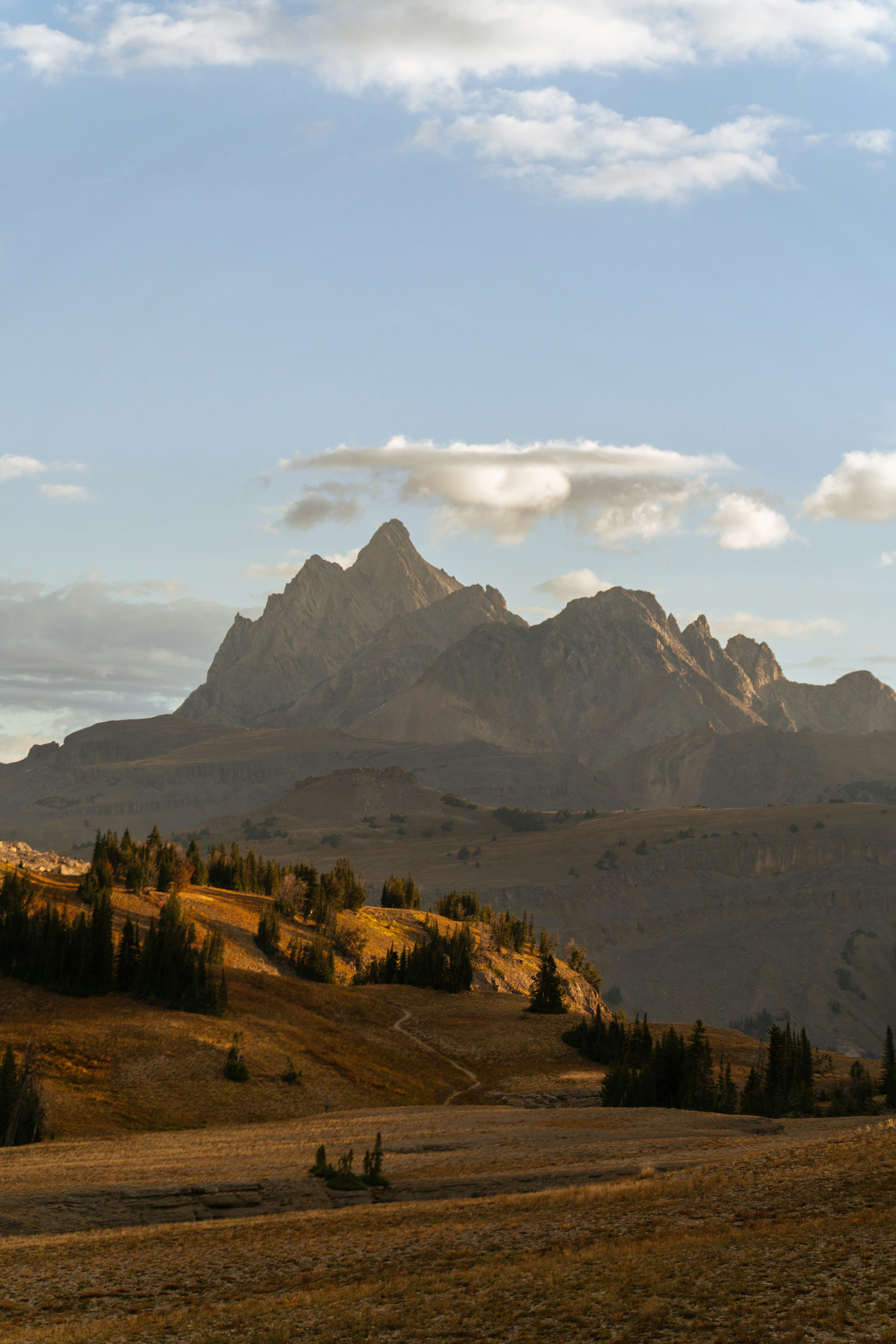 Photo by alexmoliski