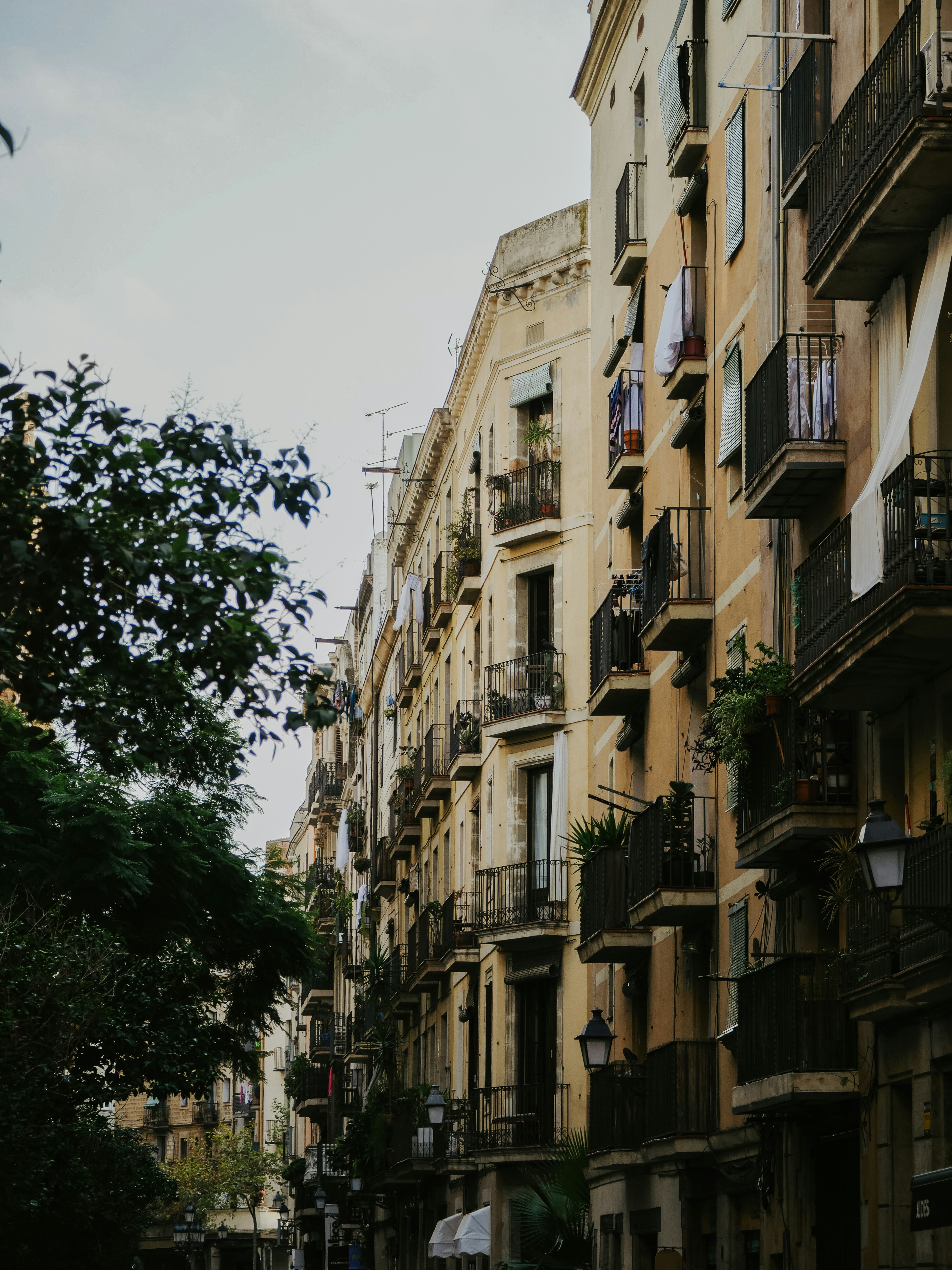 Photo by lieseschuurman