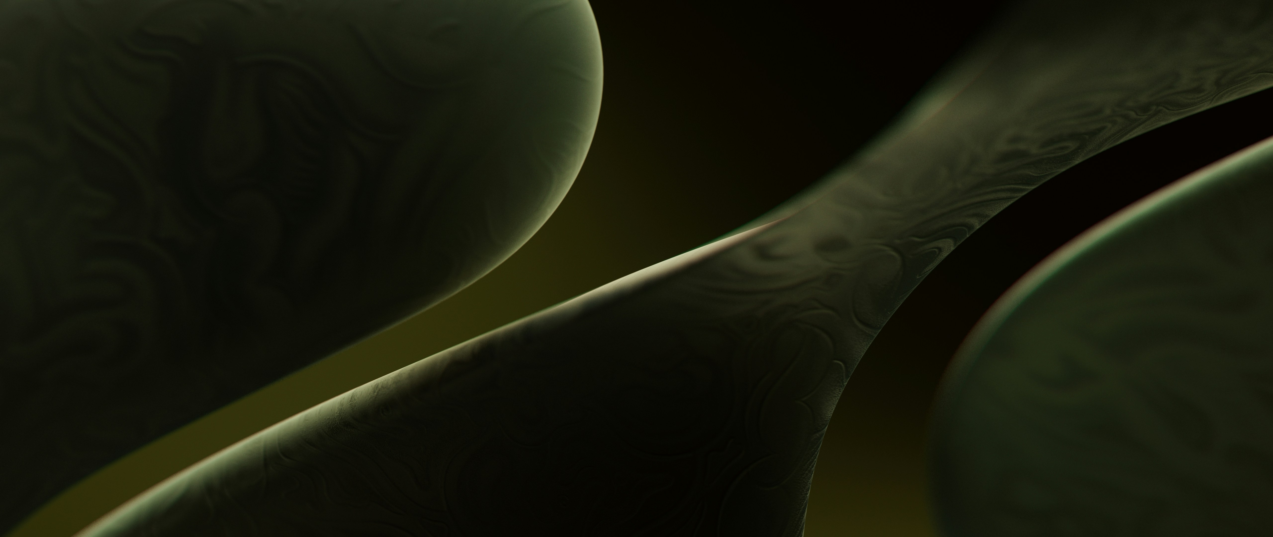 Abstract dark green organic shapes with light highlights