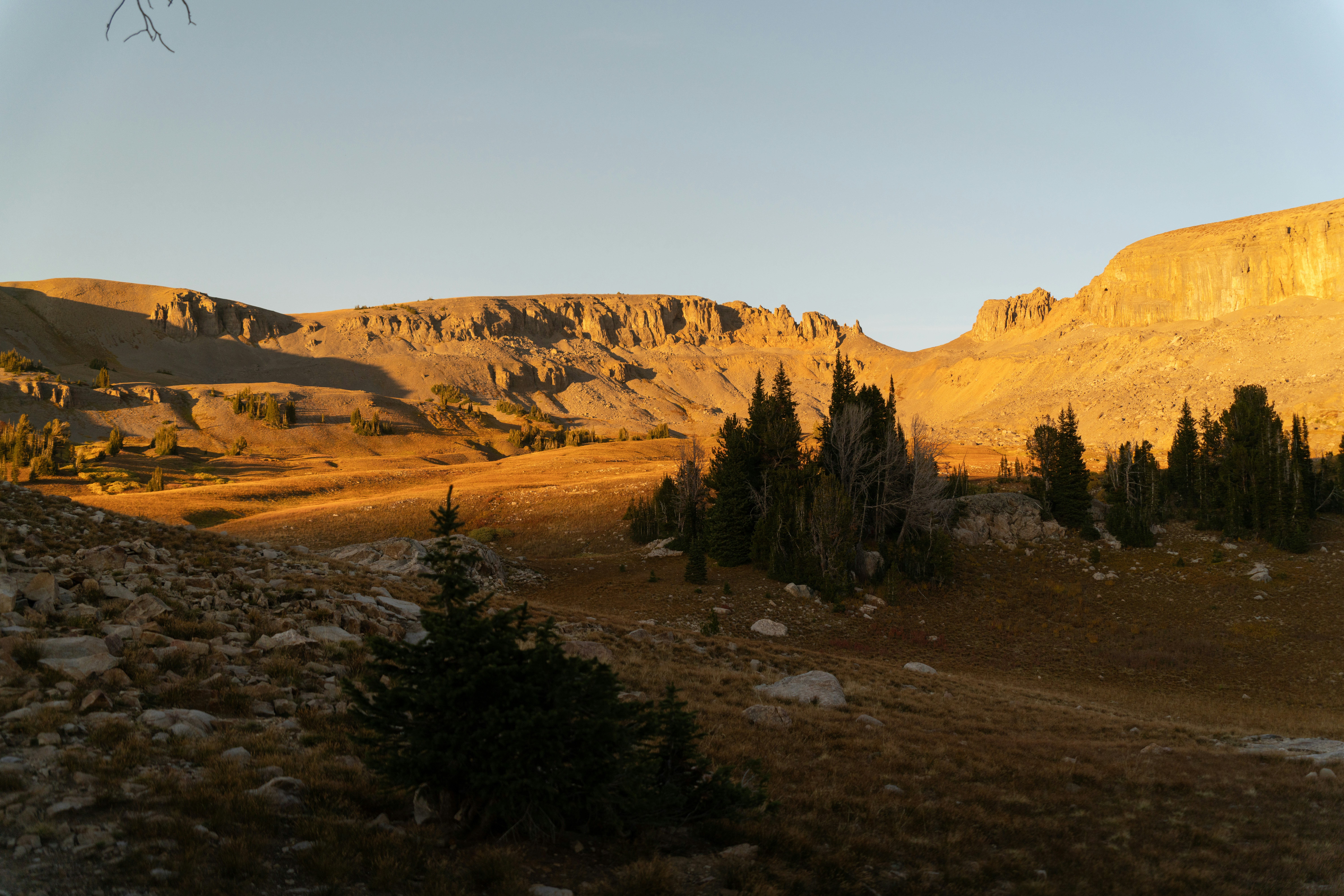 Photo by alexmoliski