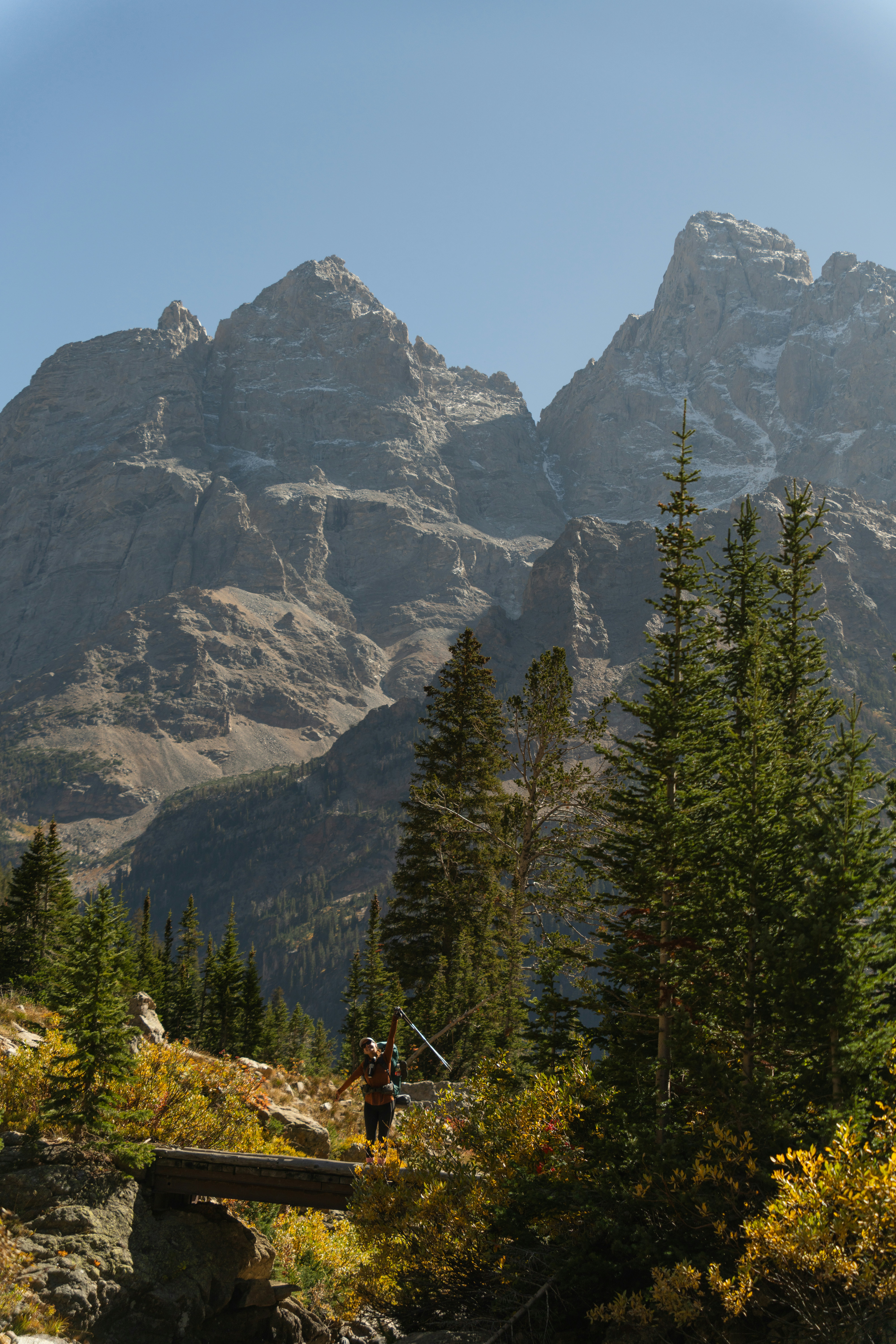 mountain hiking pole, ilustrasi artikel Conquer Mountains with Lightweight Trekking Poles: Your Essential Hiking Gear 8