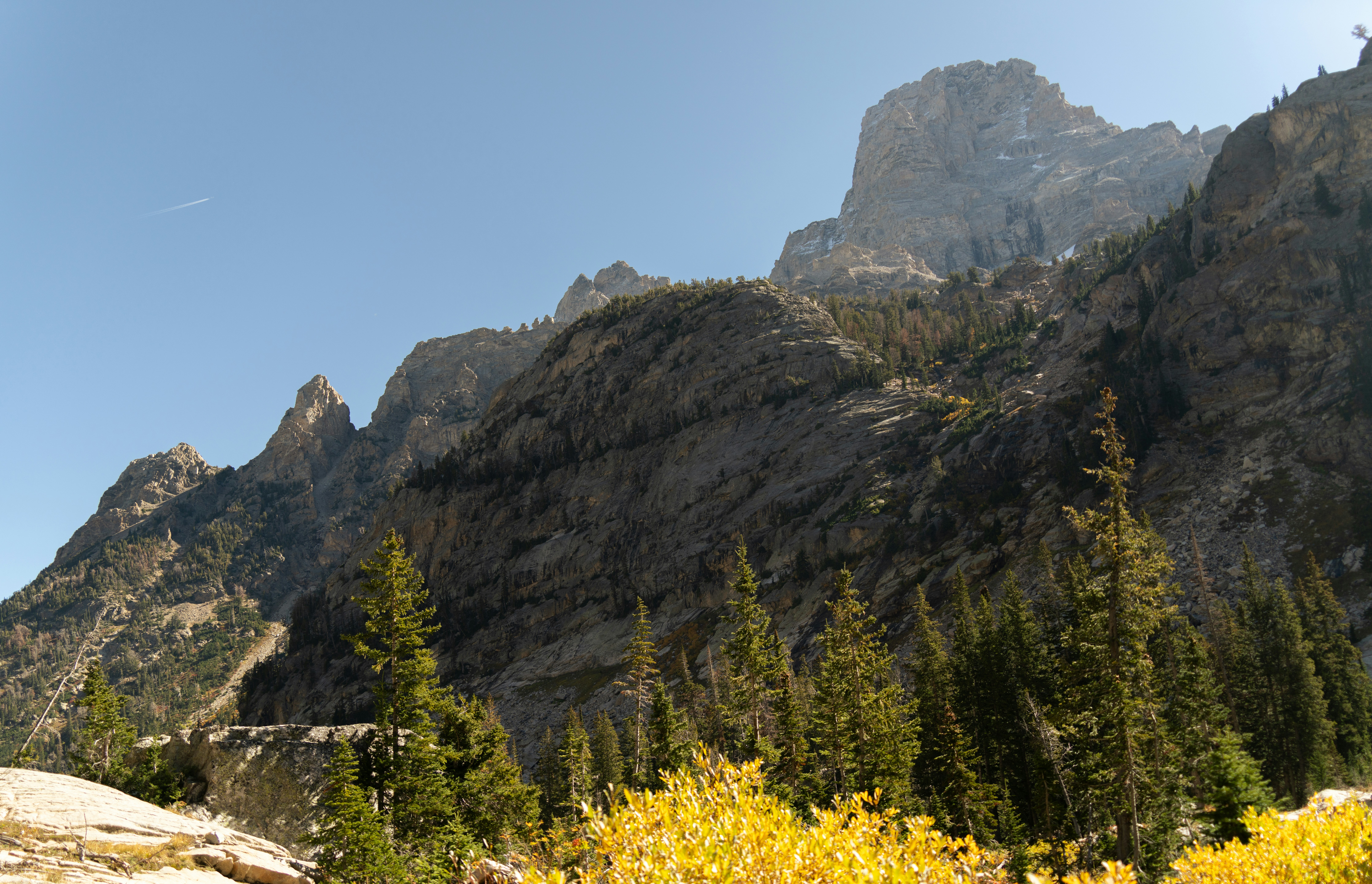 Photo by alexmoliski