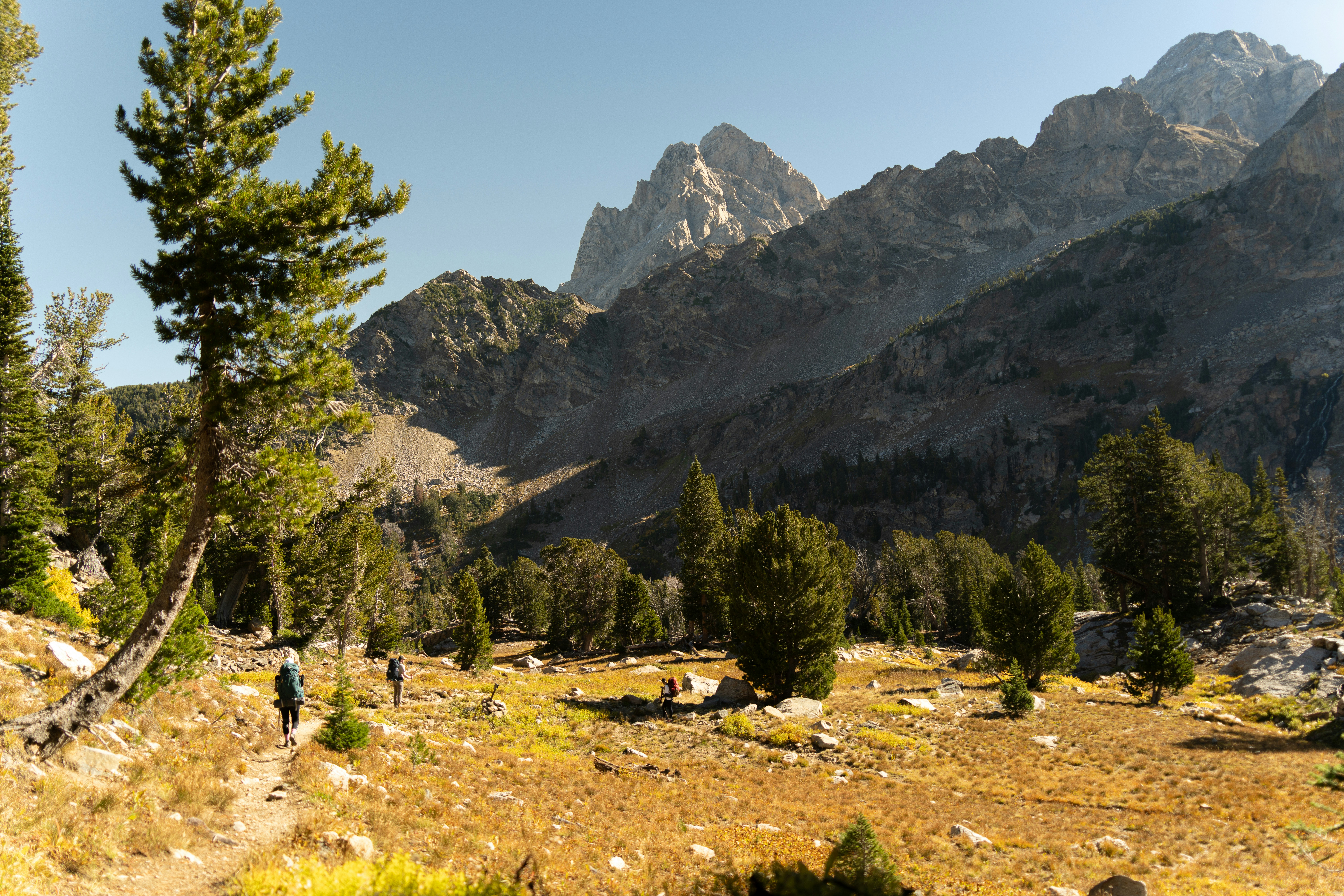 Photo by alexmoliski