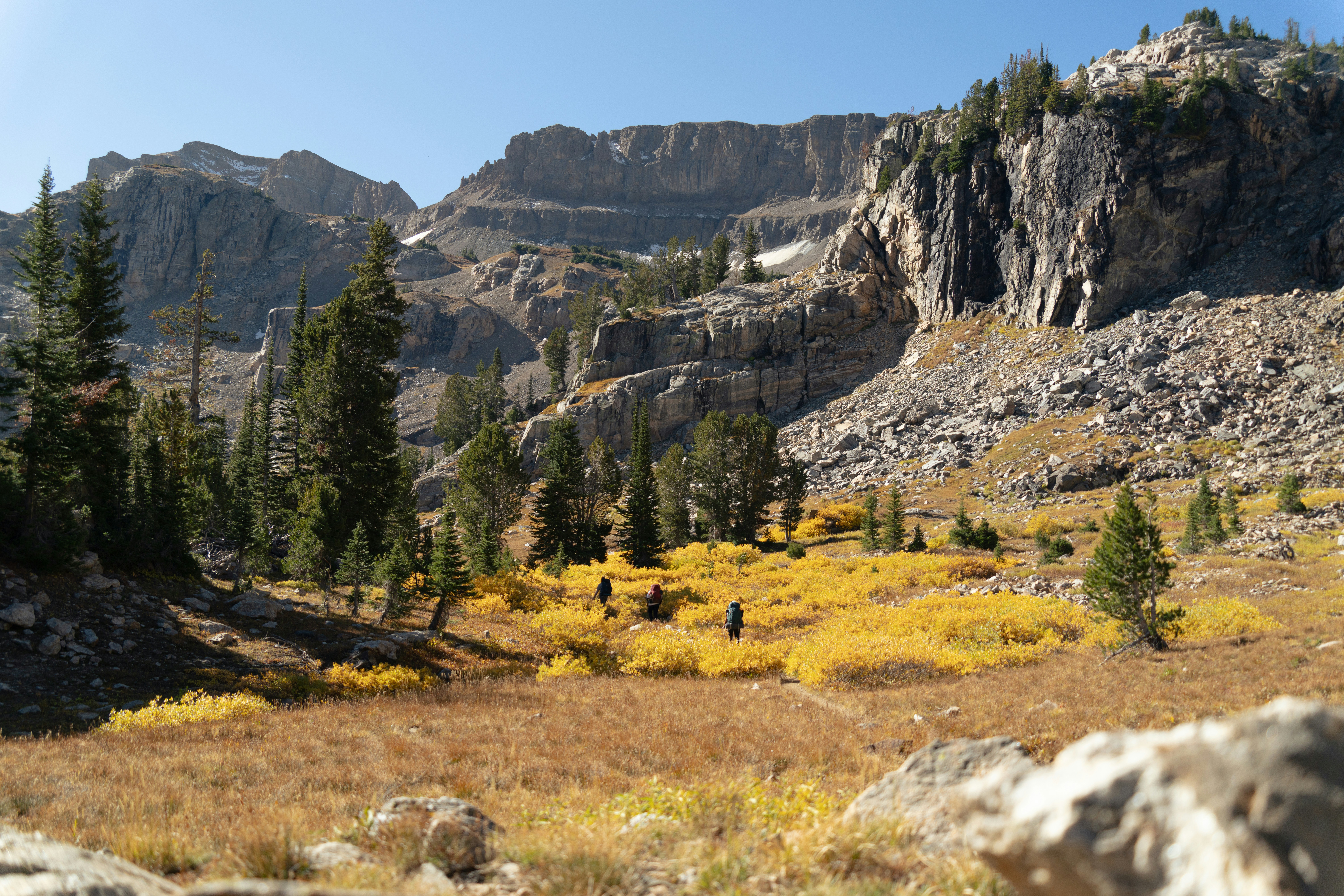 Photo by alexmoliski