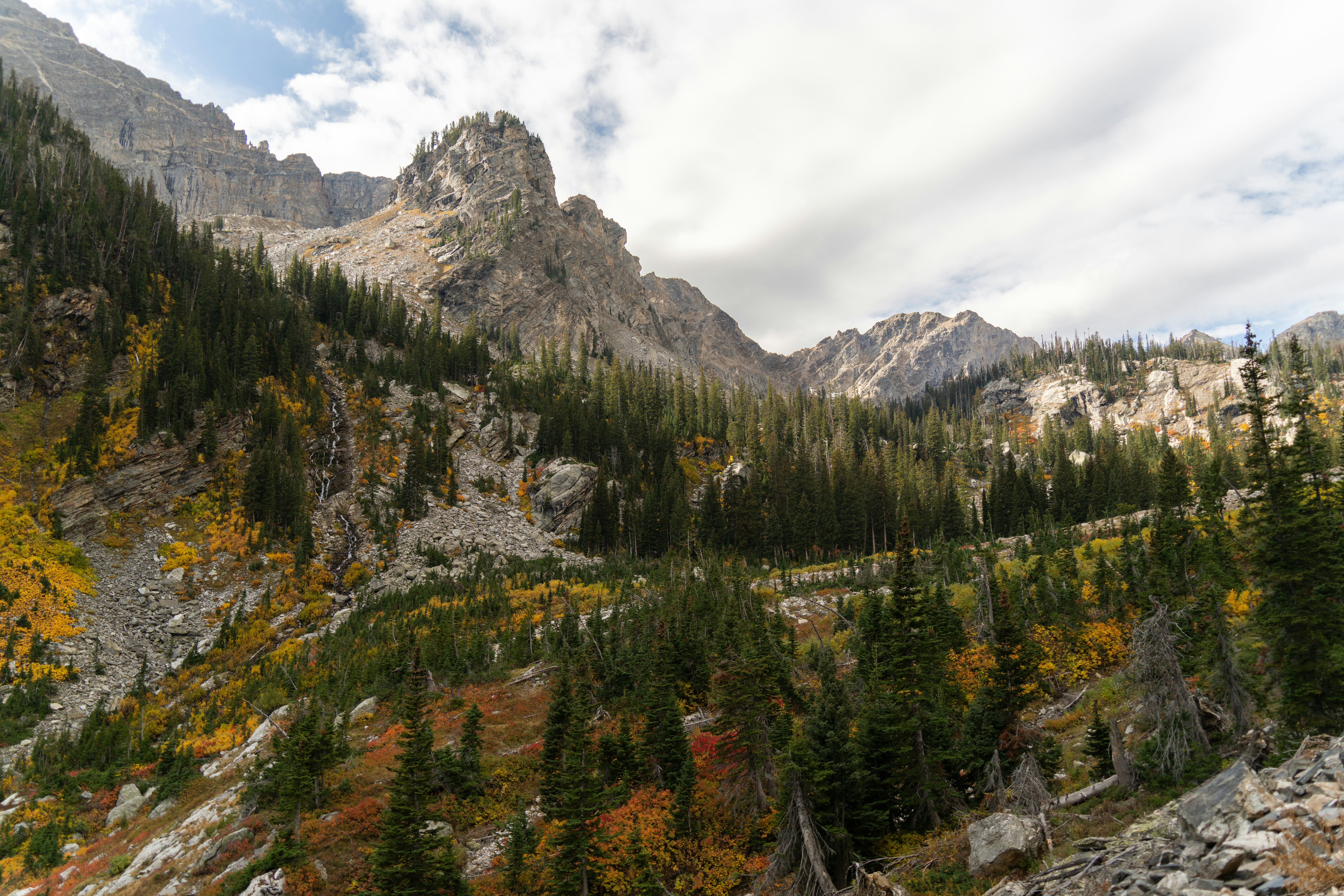 Photo by alexmoliski