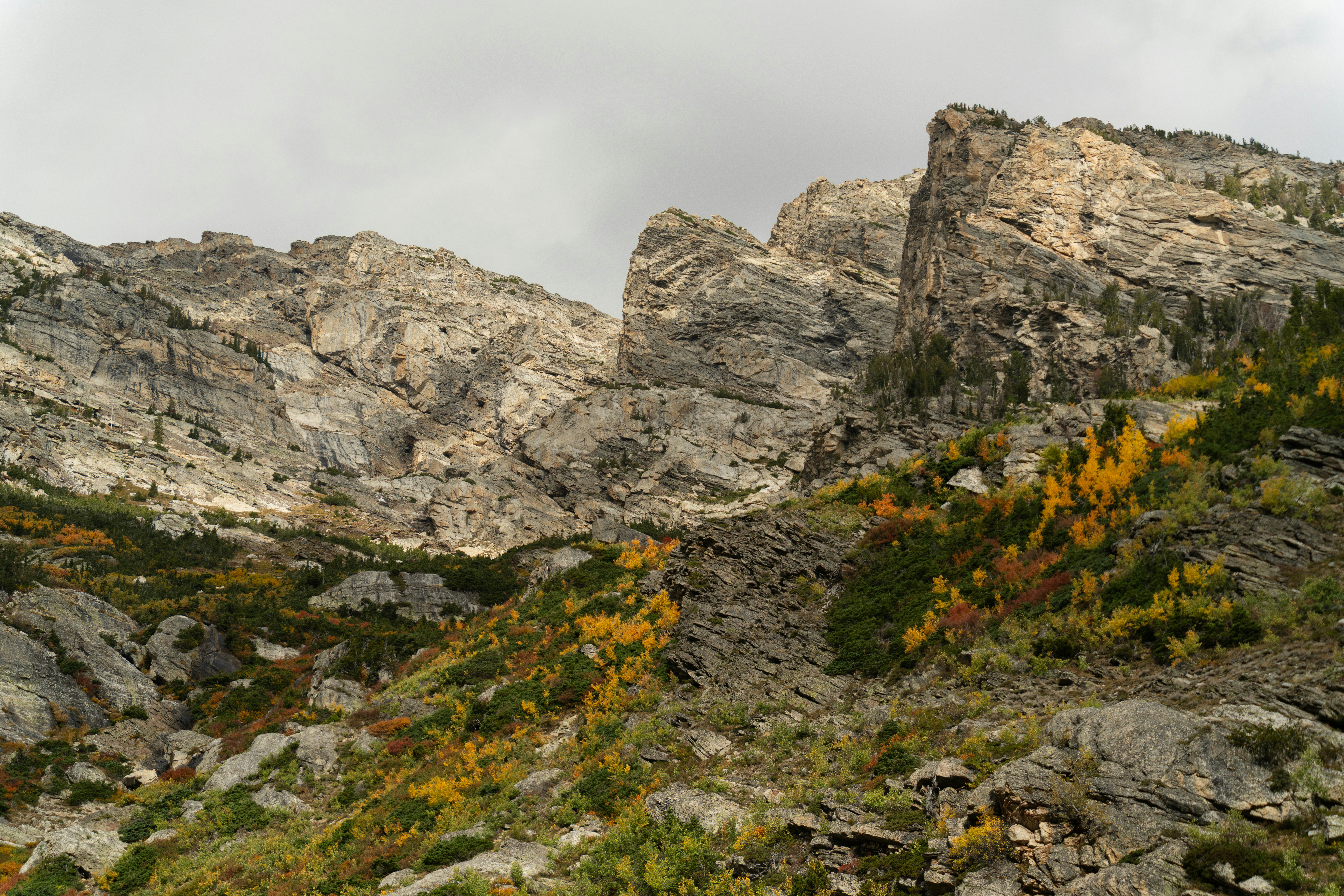 Photo by alexmoliski