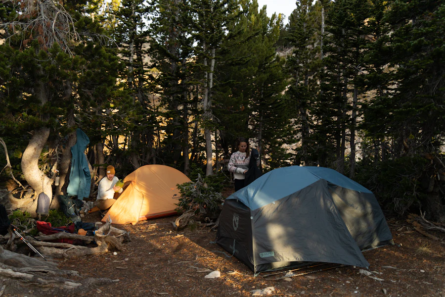 Campings en Cádiz: zonas, tipos y consejos