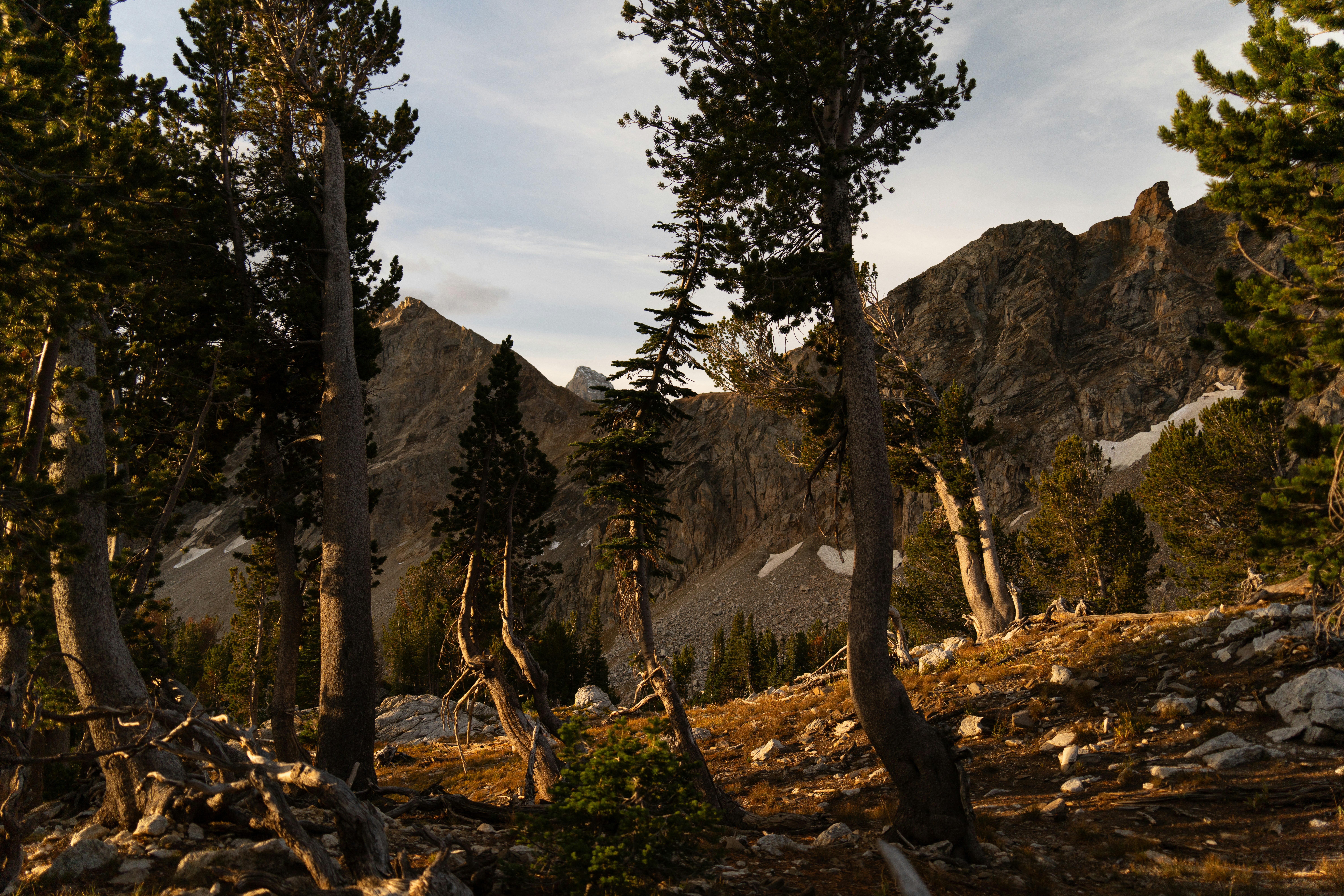 Photo by alexmoliski