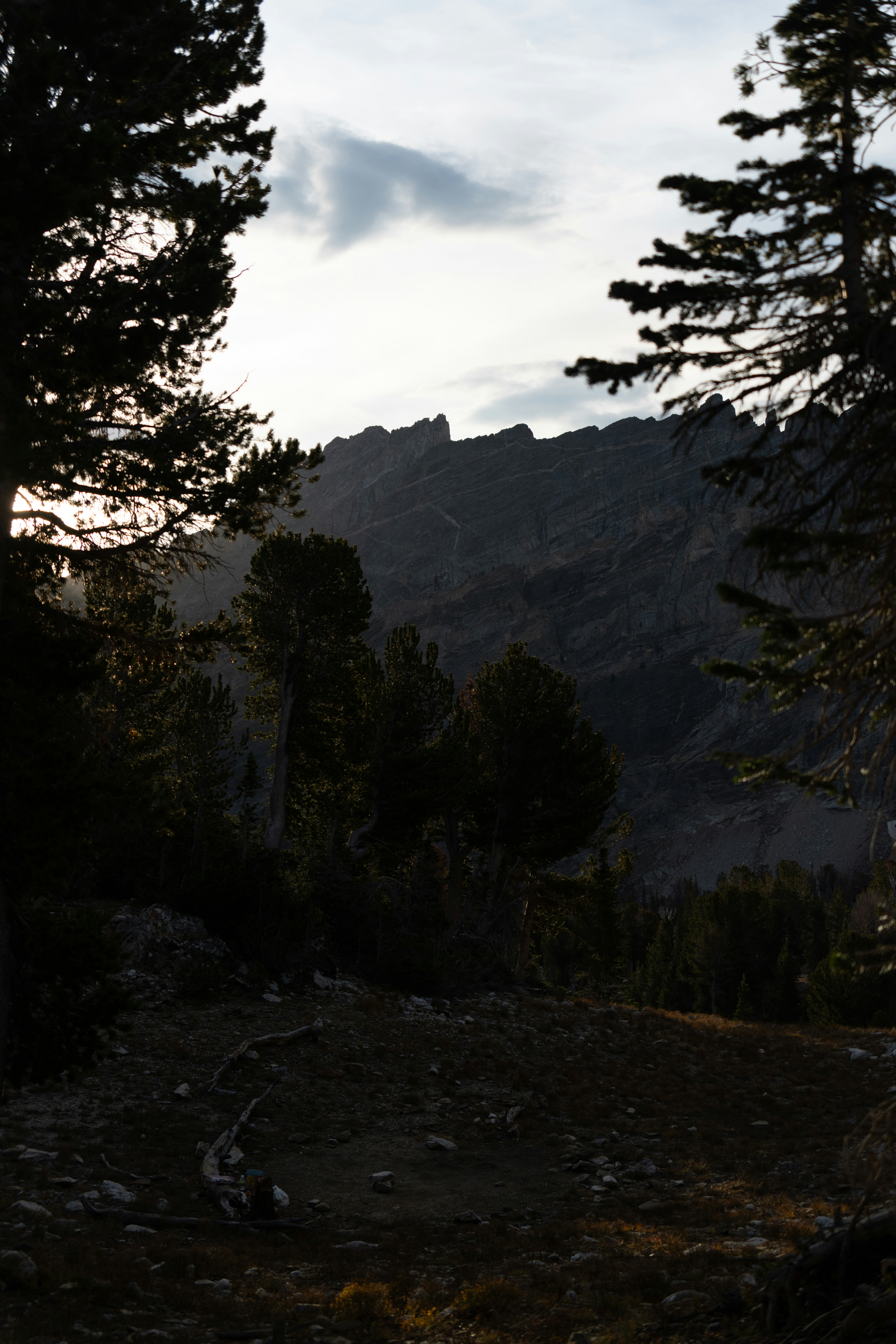 Photo by alexmoliski