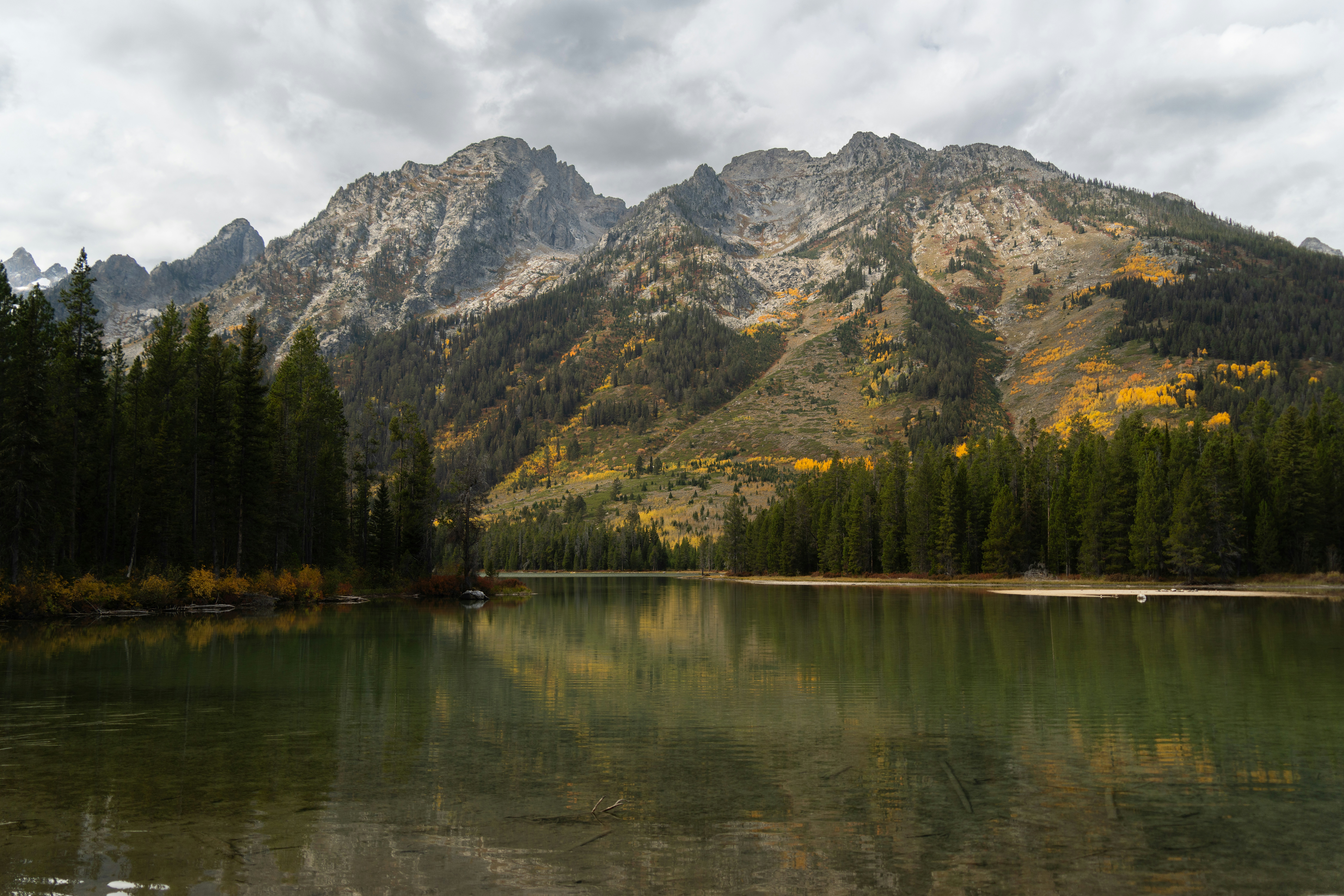 Photo by alexmoliski