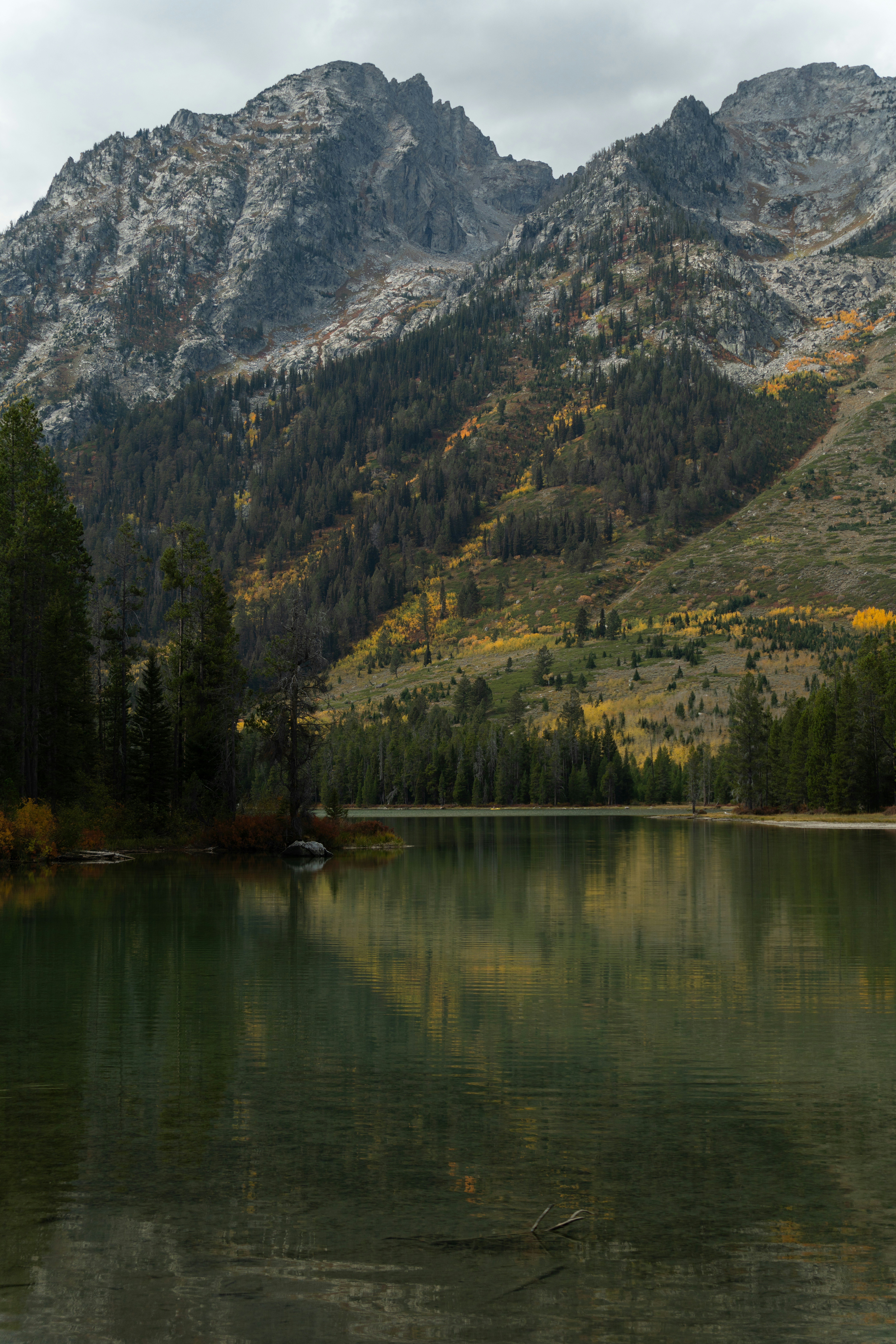 Photo by alexmoliski