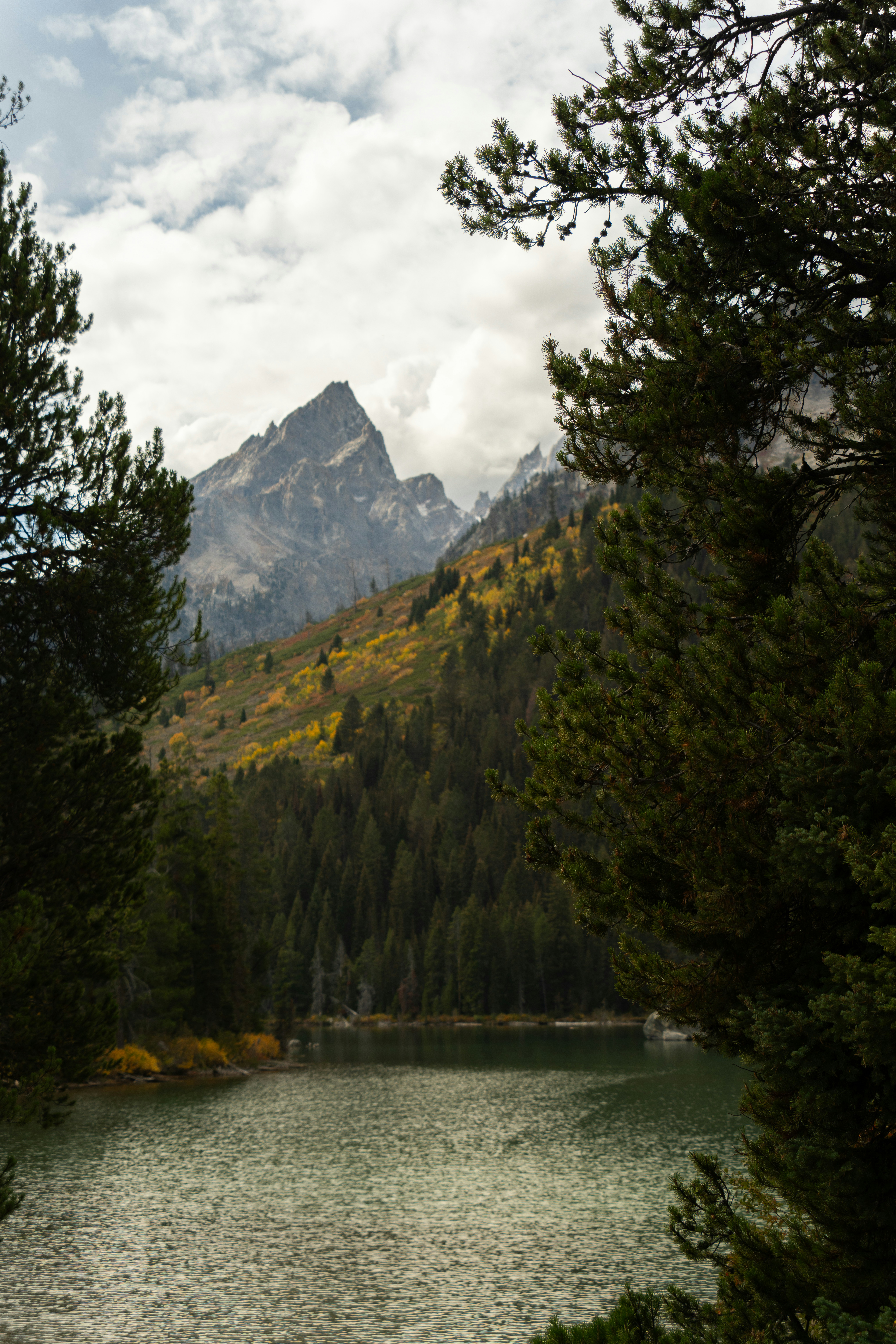 Photo by alexmoliski