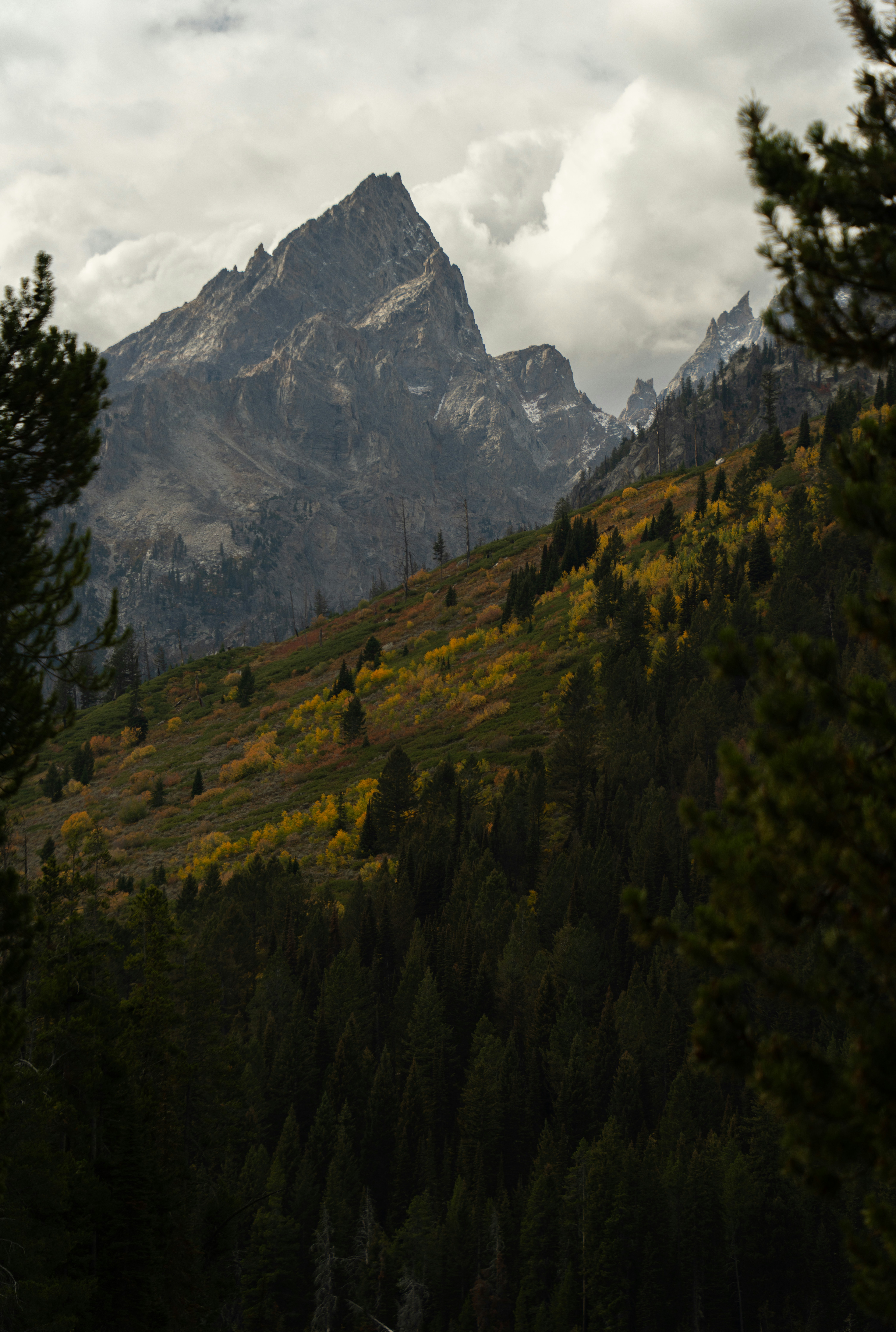 Photo by alexmoliski