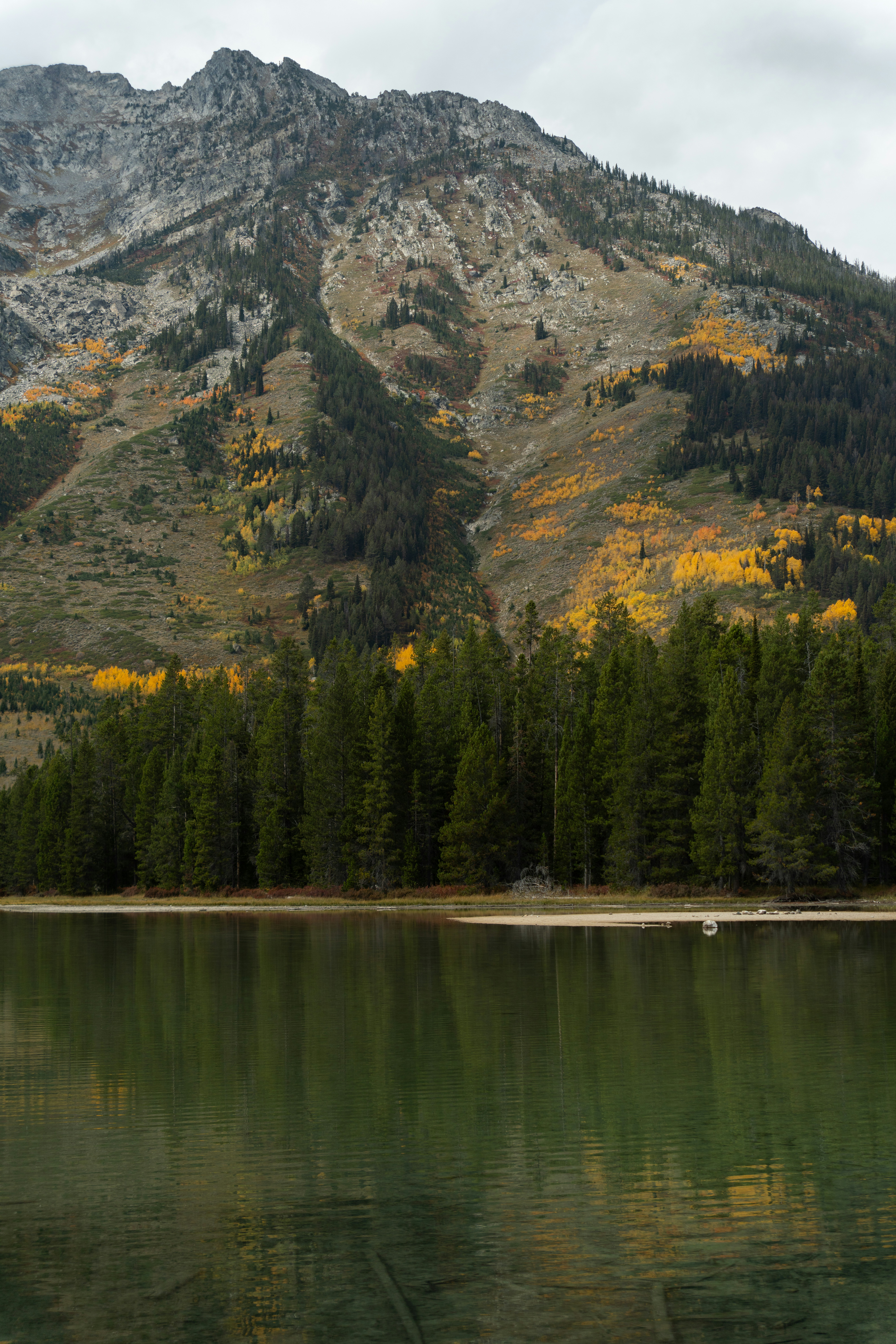 Photo by alexmoliski