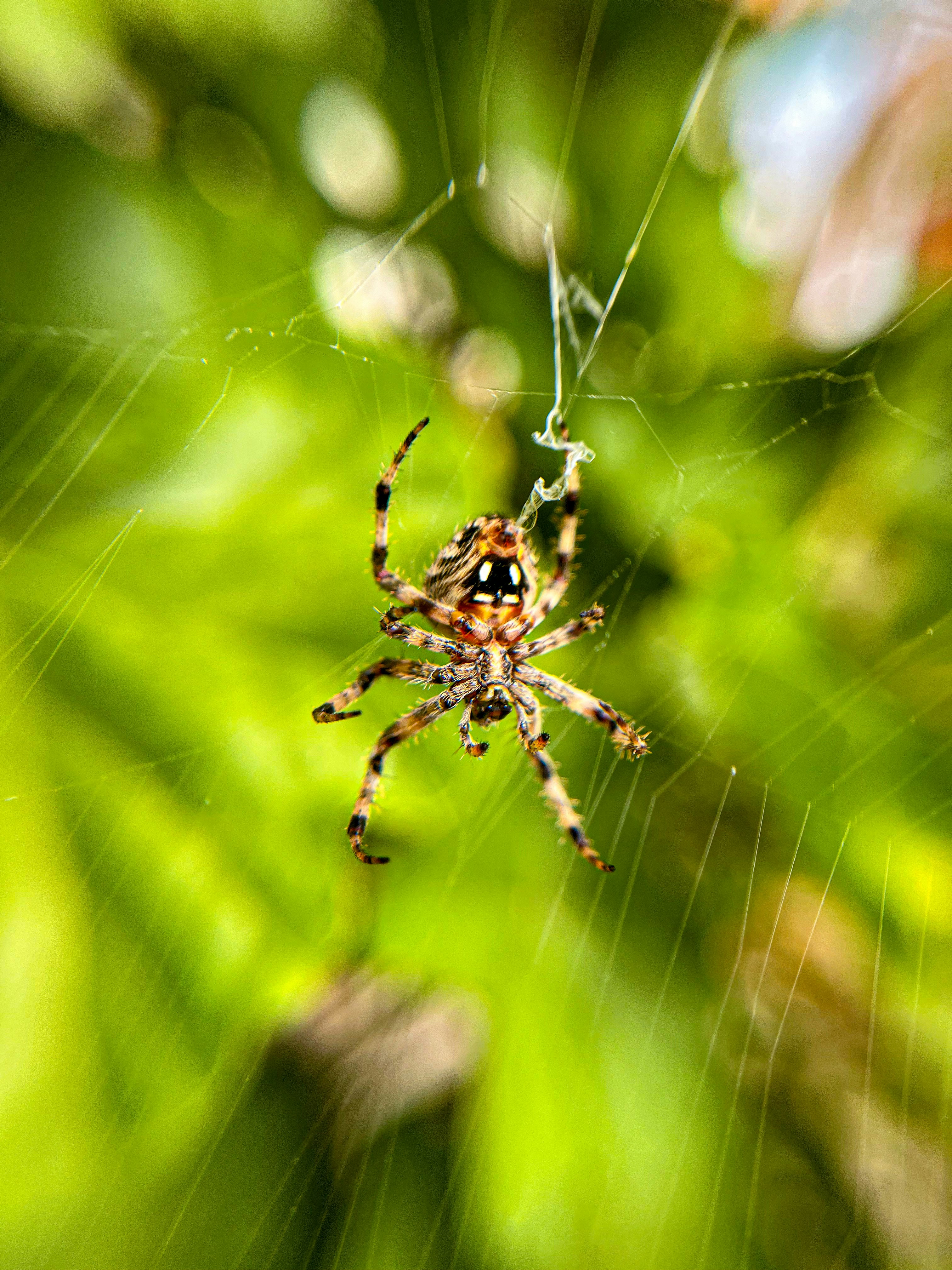 Photo by erick_santiagoa