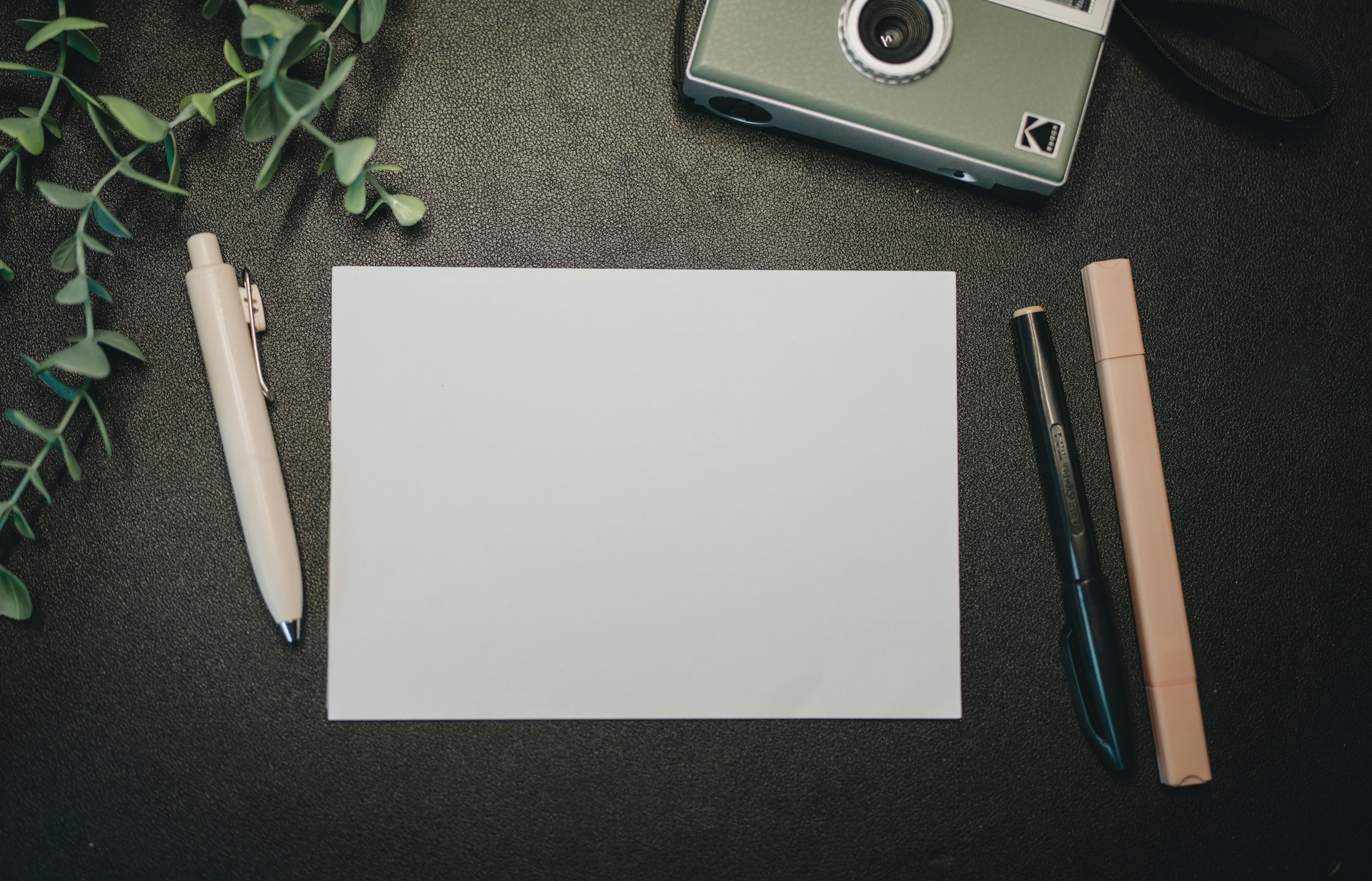 Blank card with pen, camera, and plant
