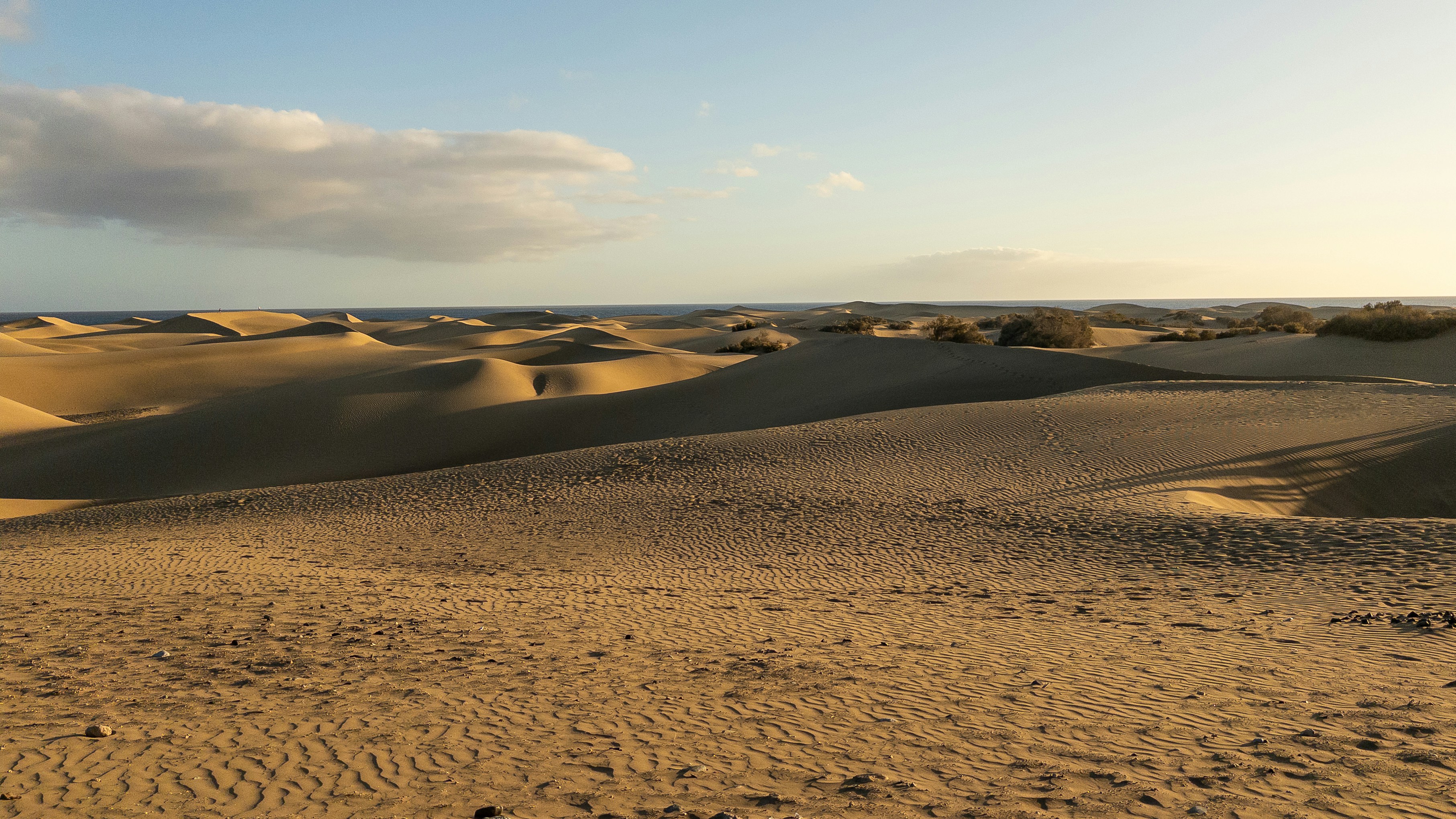 Golden sand dunes under a clear blue sky