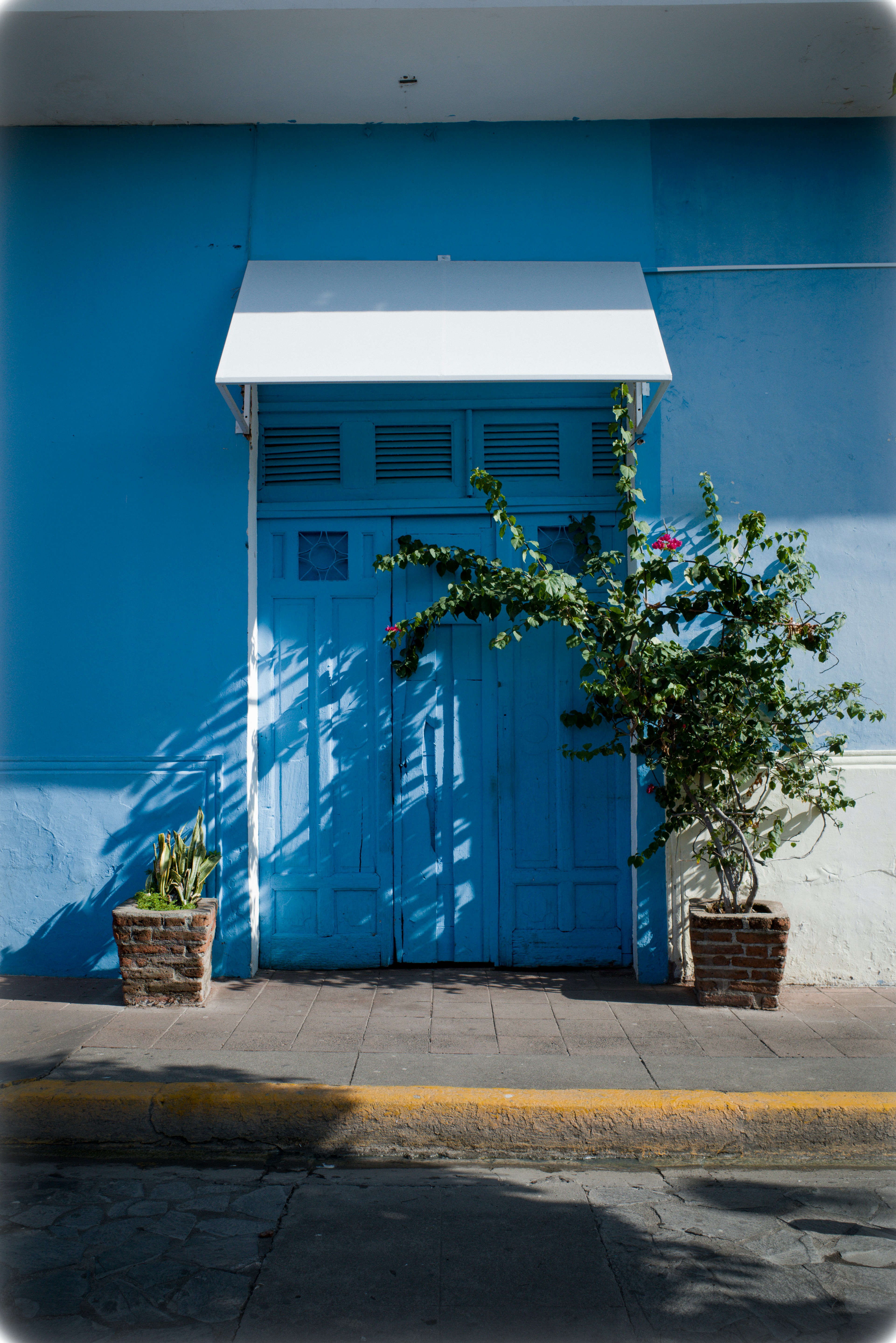 A bright blue door with potted plants and shadows.
