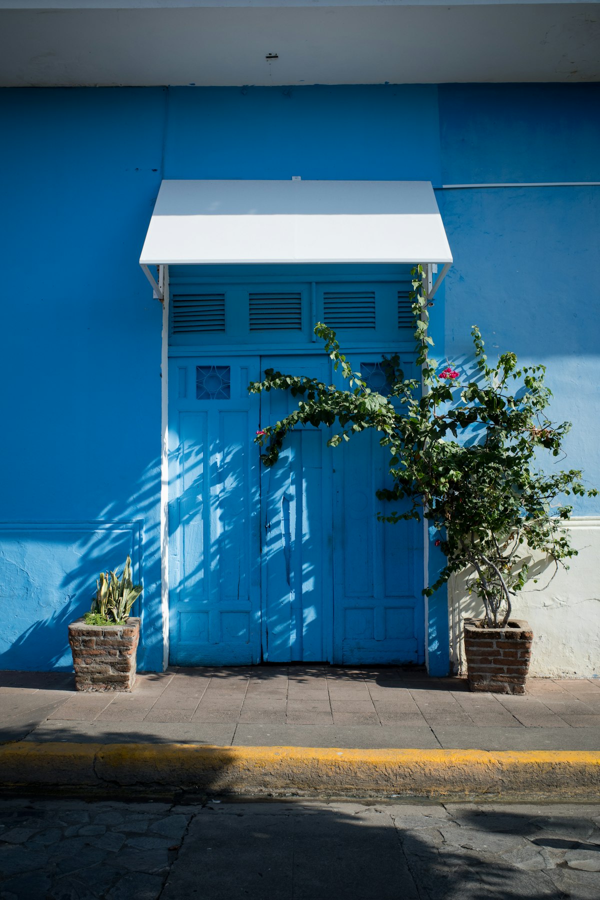 Colorful heritage doors
