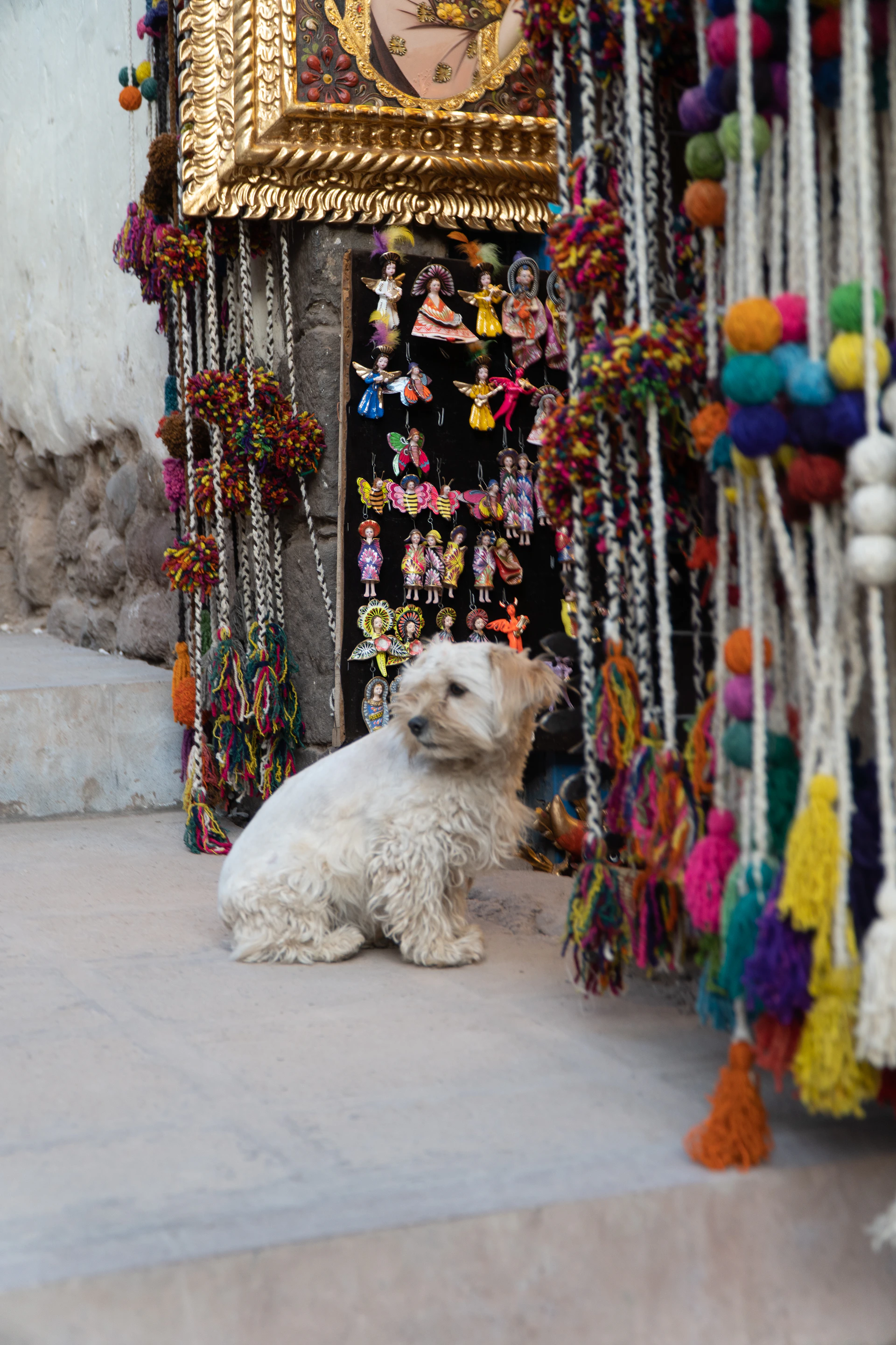 A small white dog sits near colorful market decorations.