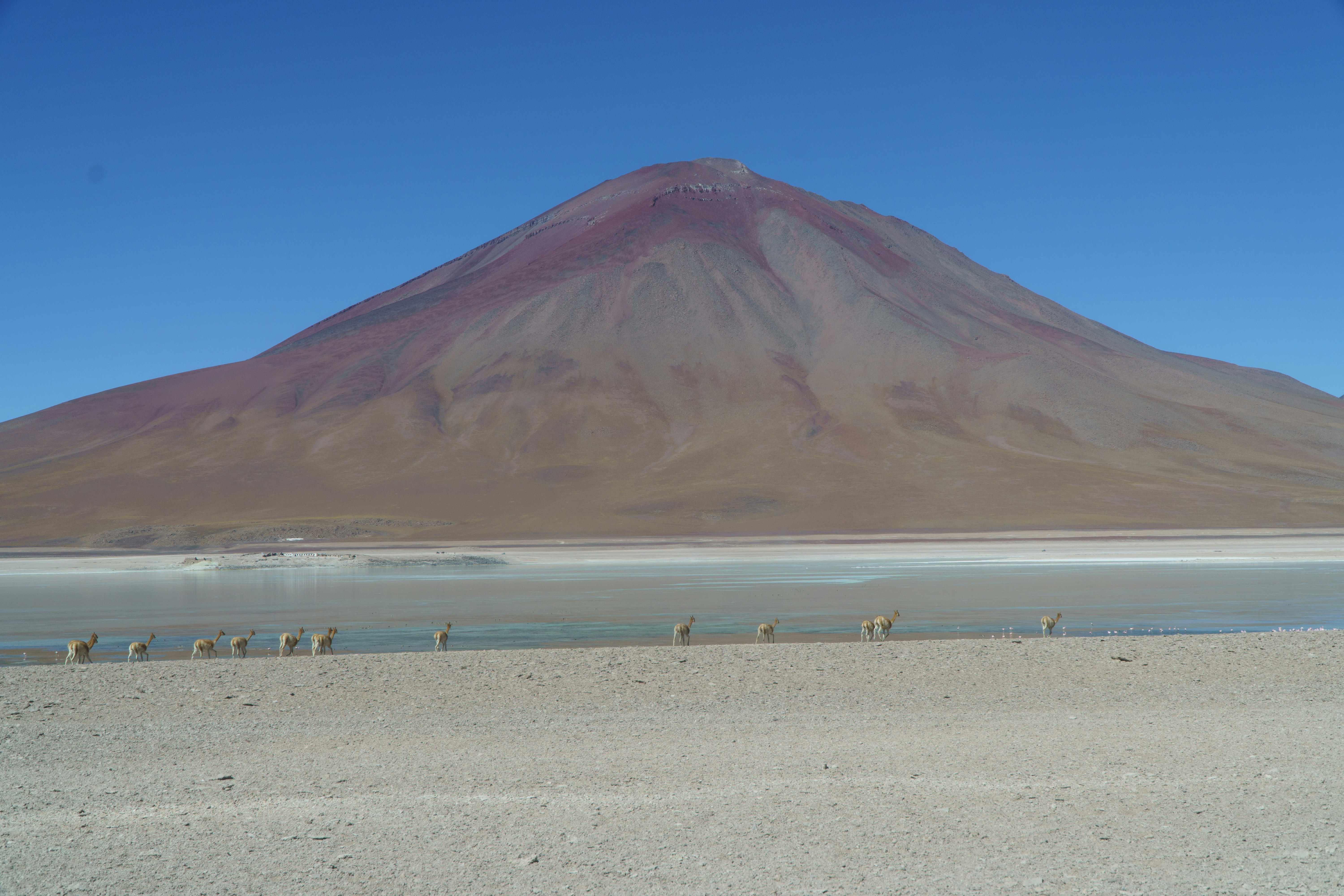 Stay online in the Bolivia with a prepaid eSIM from eSIMlii. Instant activation, no roaming charges, and reliable coverage.