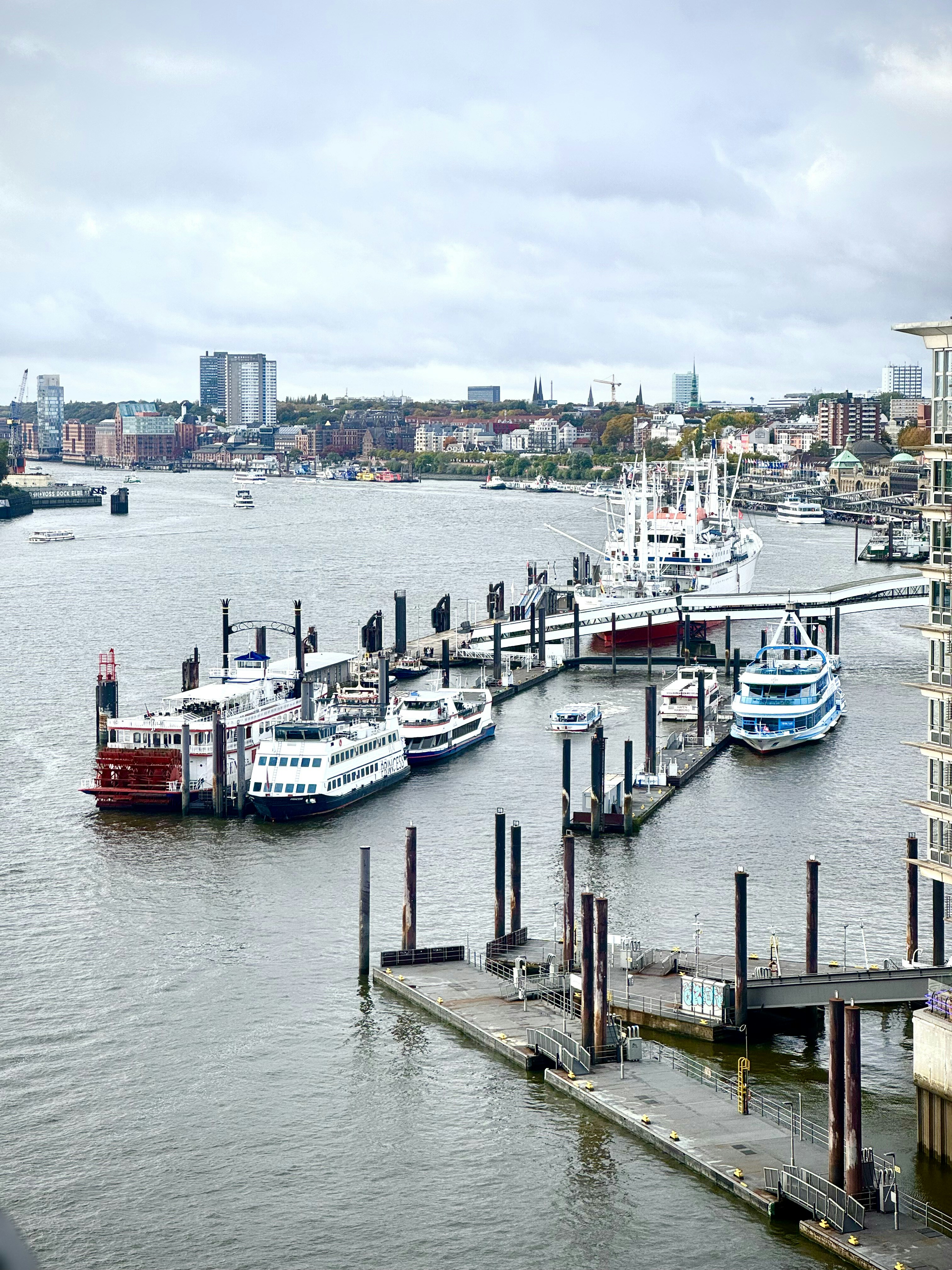 Photo by thecosmicdesigner