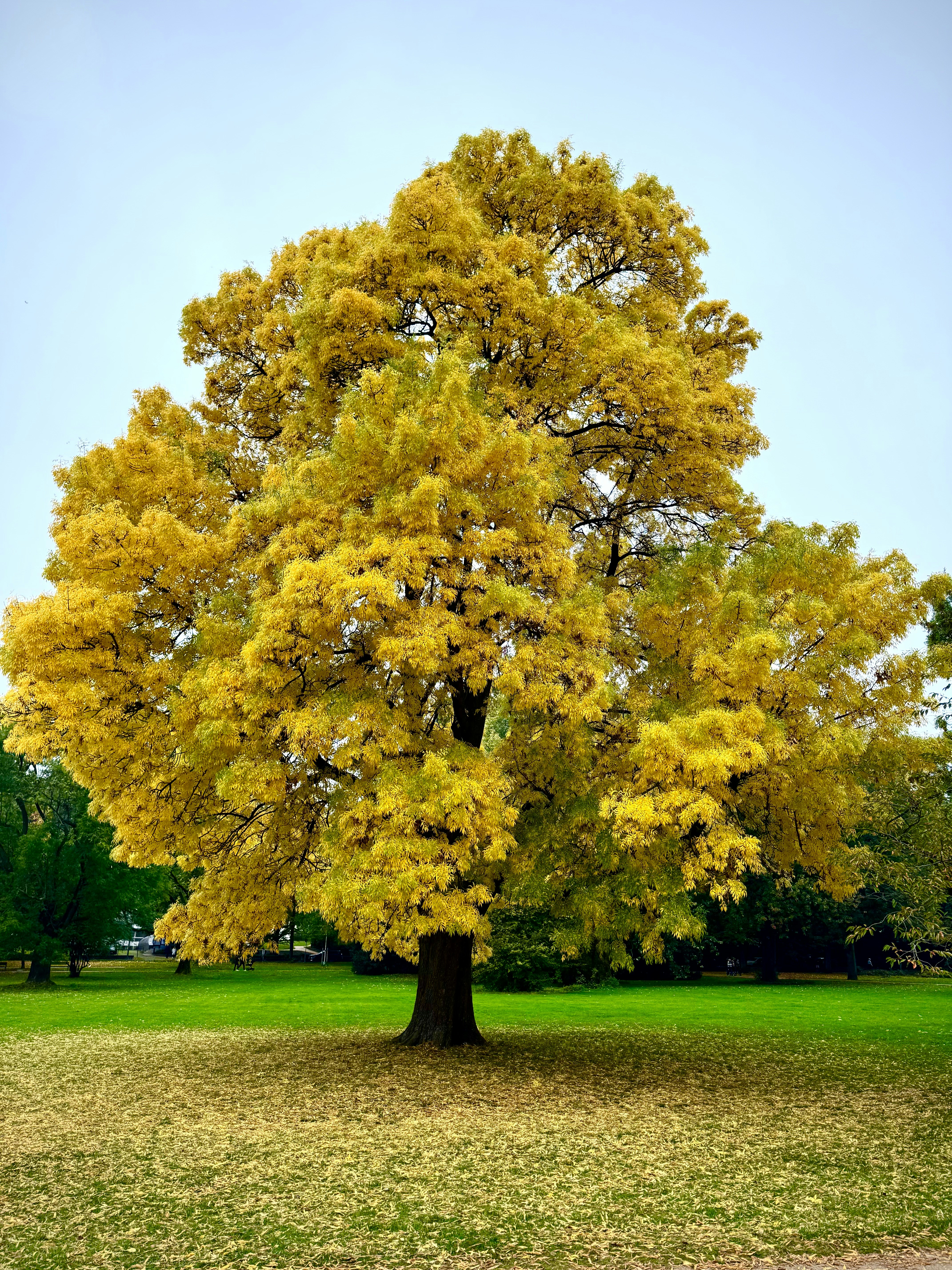 Photo by thecosmicdesigner